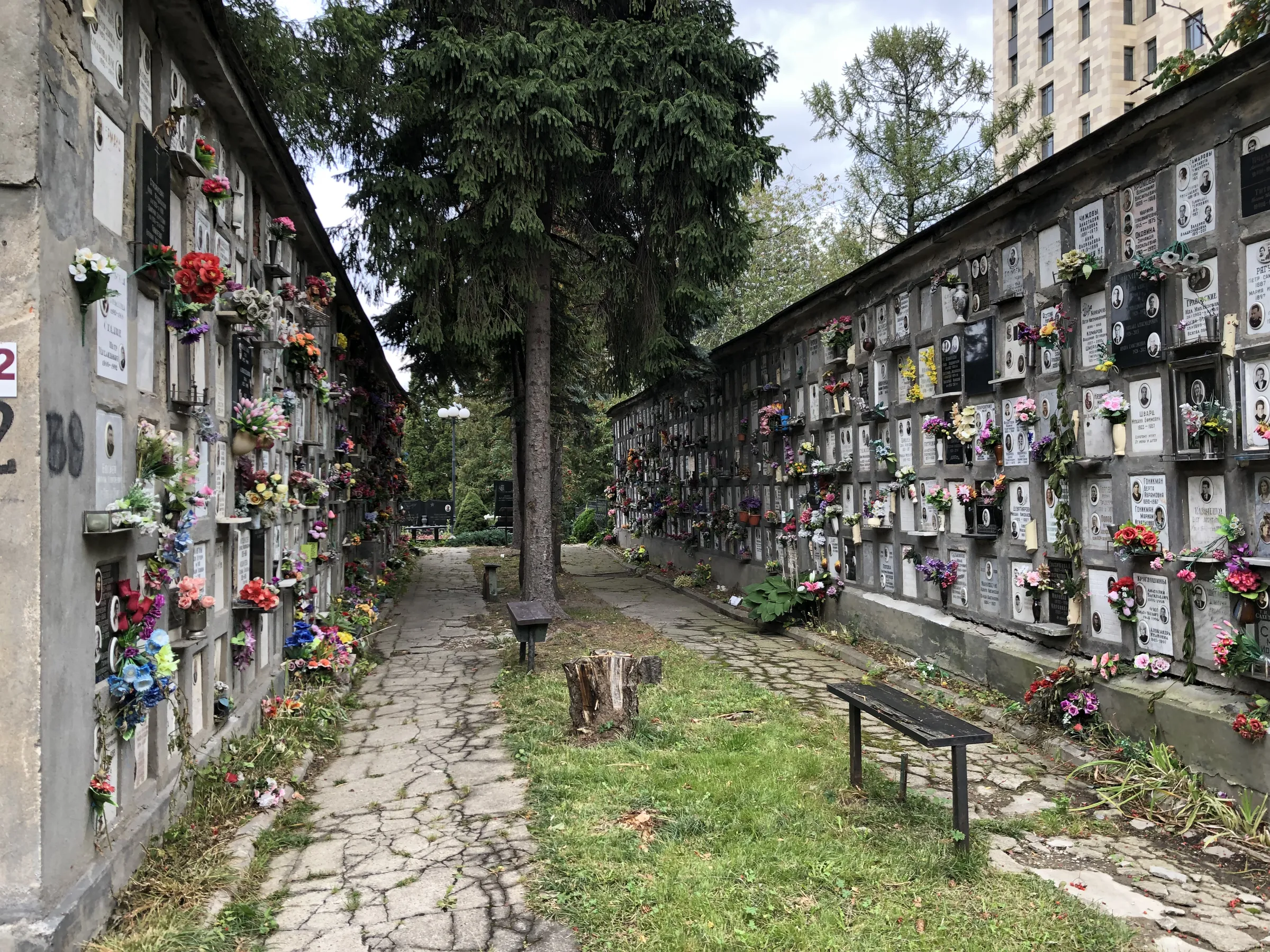 Кладбище с колумбарием, фото 18