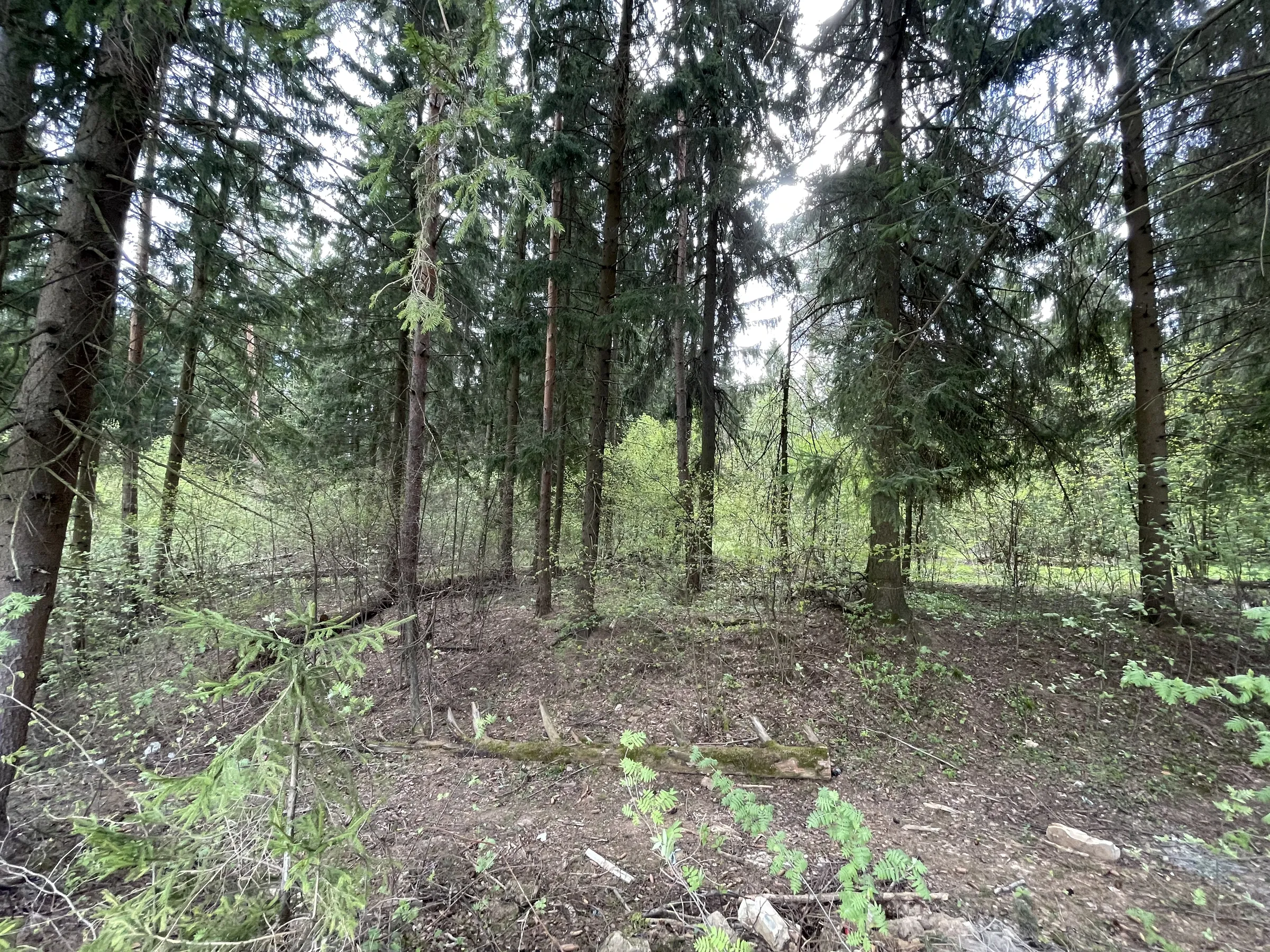 Лесное кладбище с часовней, фото 18