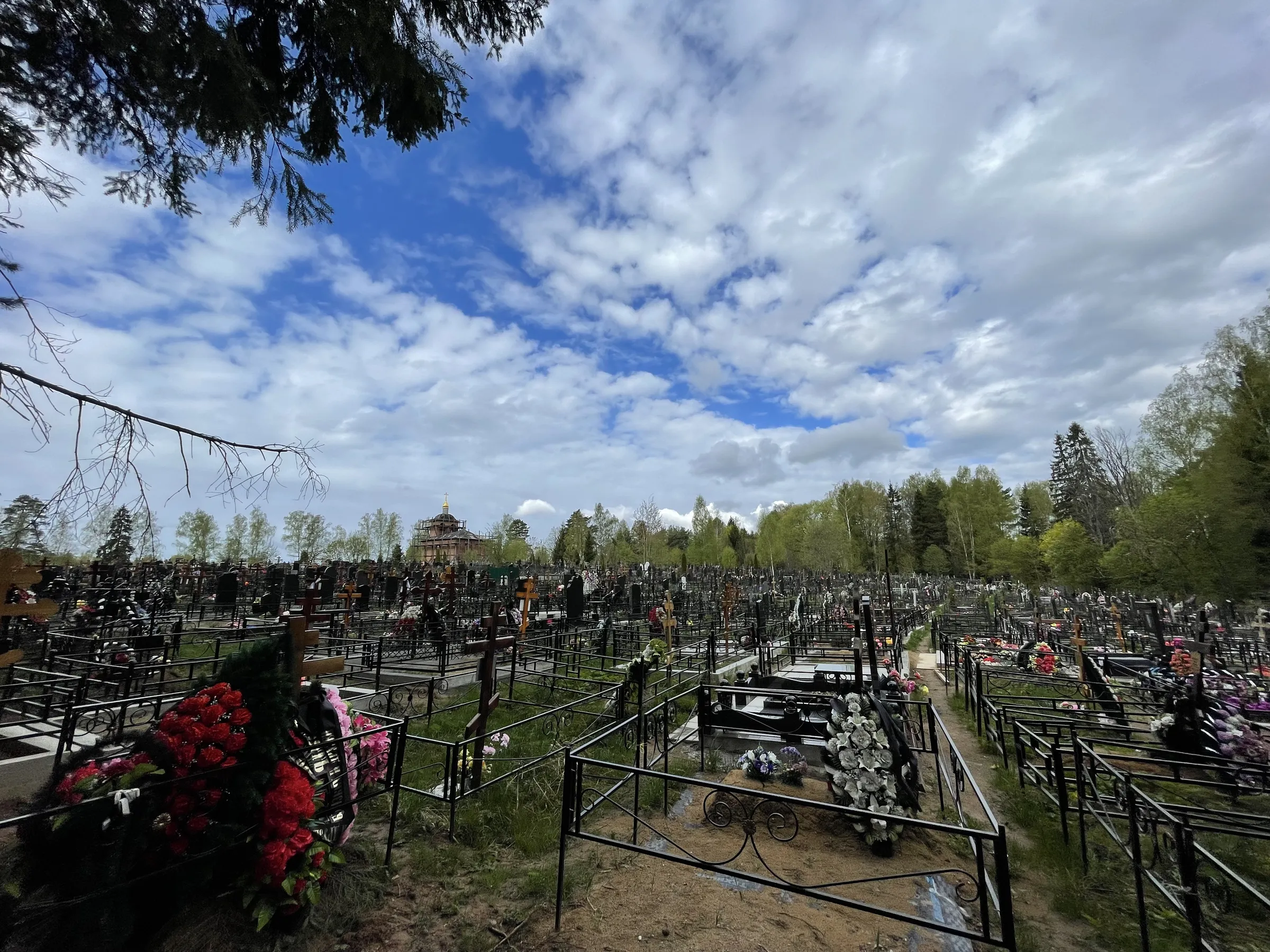 Лесное кладбище с часовней, фото 16