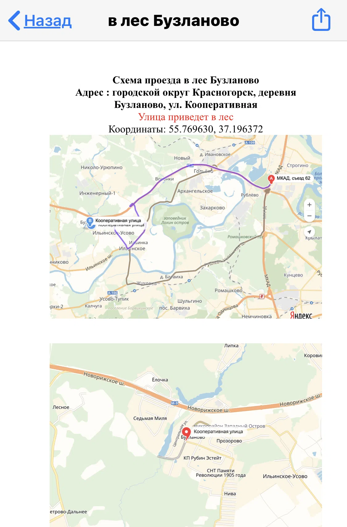 Хвойный лес с тропой, фото 22