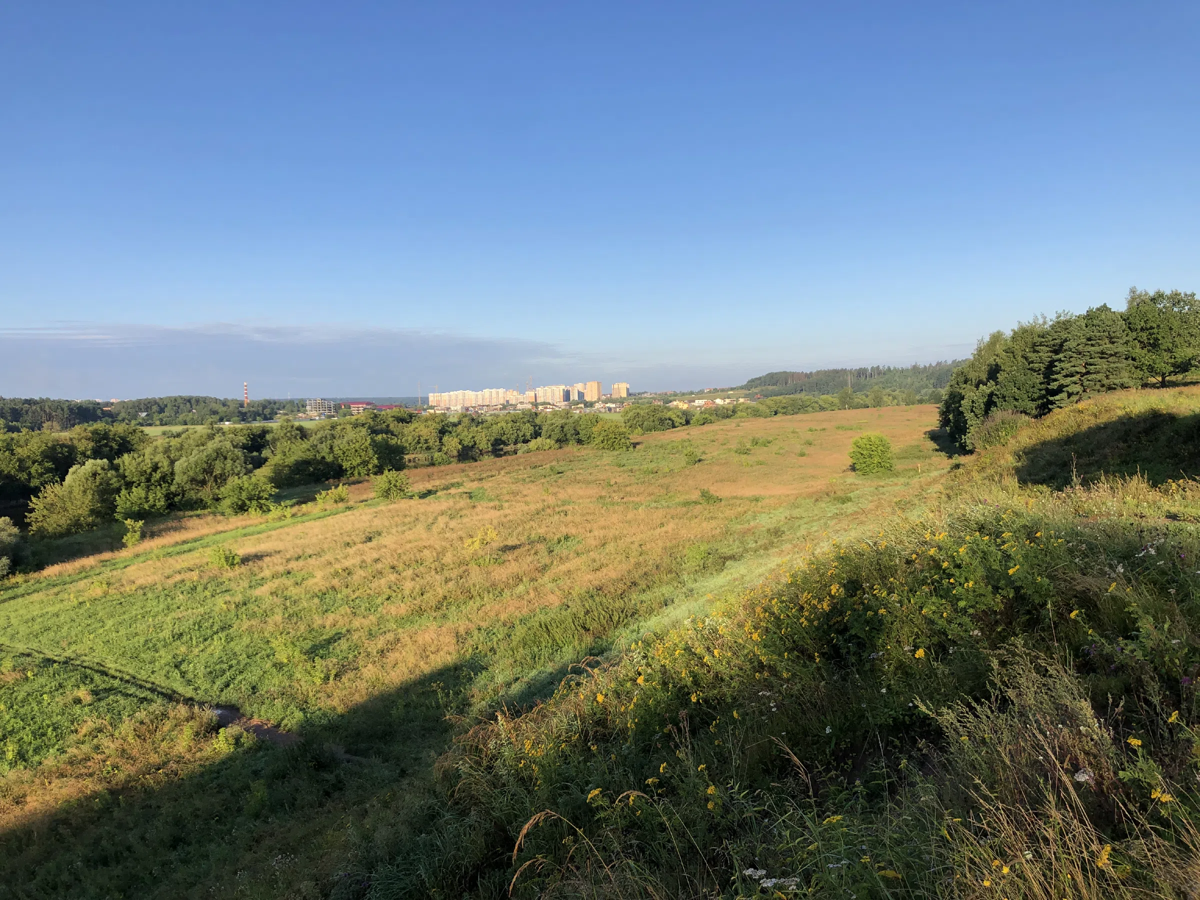 Сосновый лес с рекой, фото 23