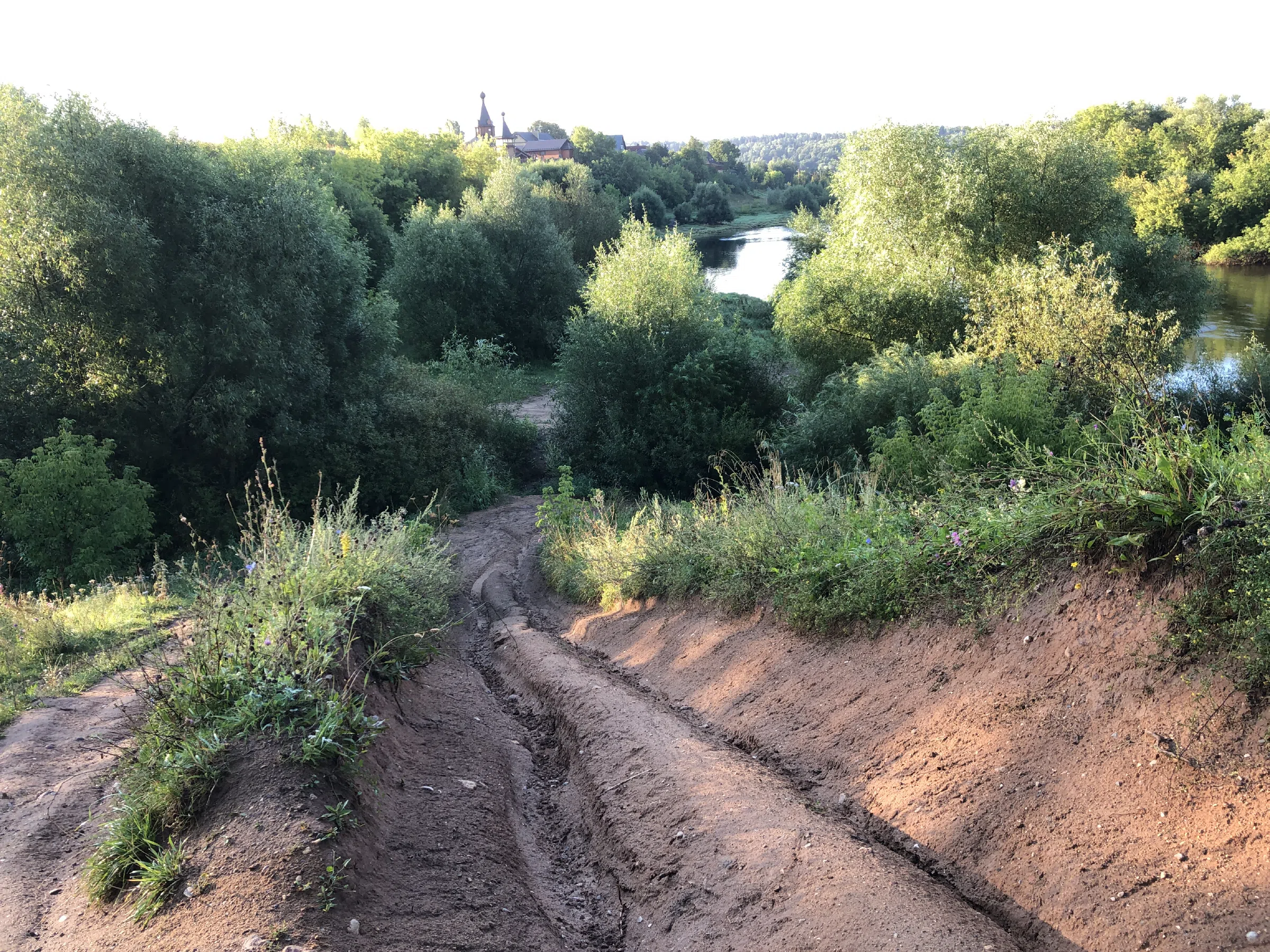 Сосновый лес с рекой, фото 19
