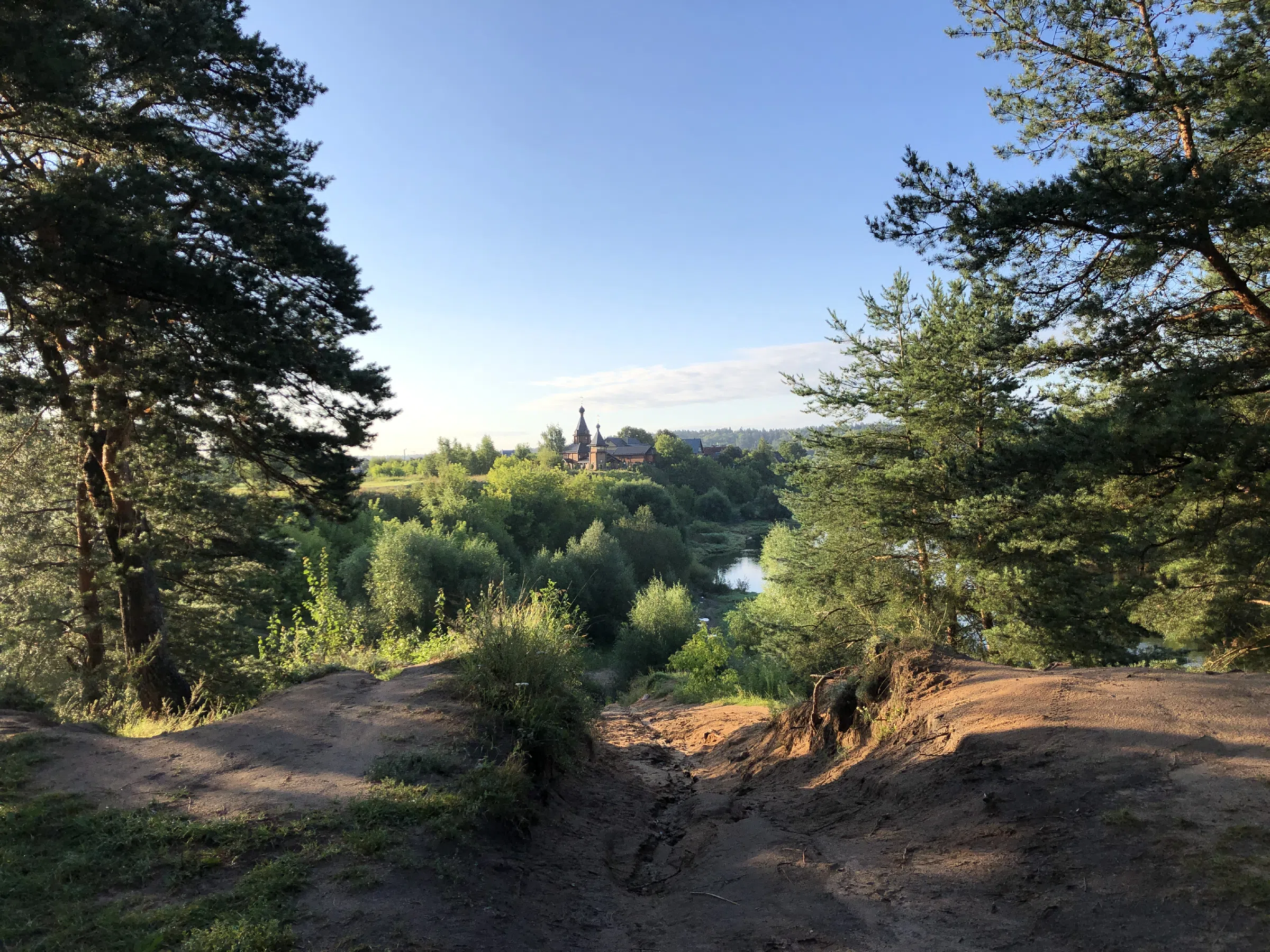 Сосновый лес с рекой, фото 17