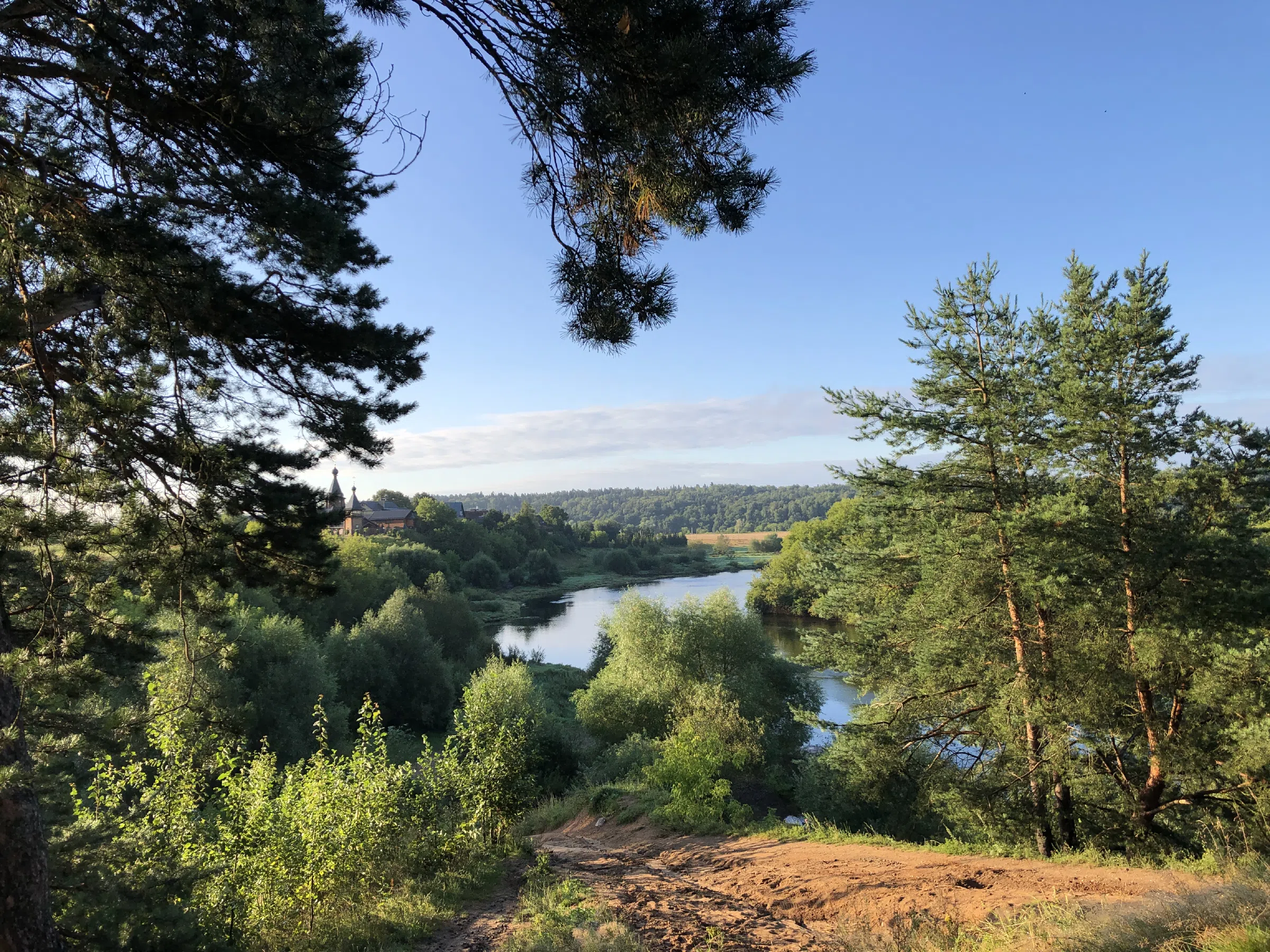 Сосновый лес с рекой, фото 18
