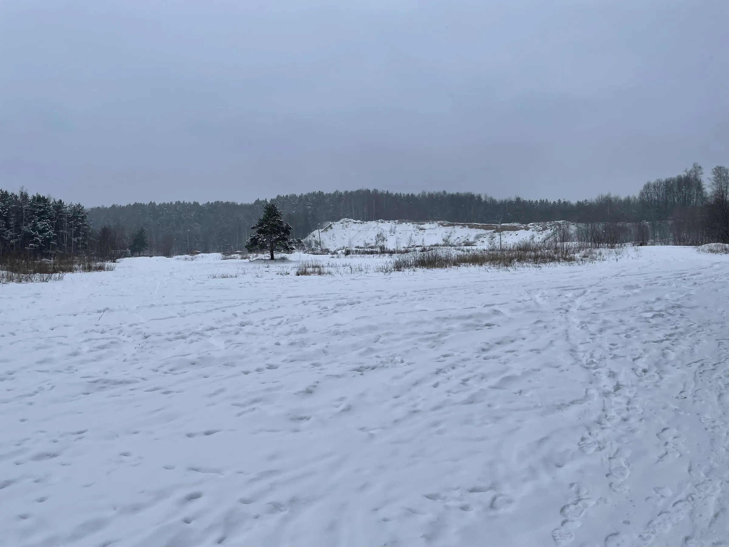 Зимний рельефный лес, фото 6
