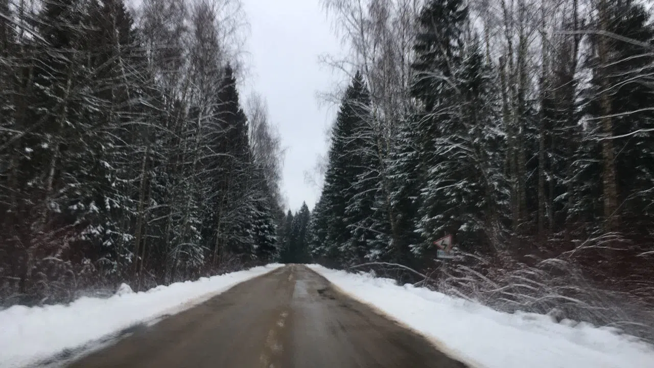 Зимний хвойный лес, фото 10