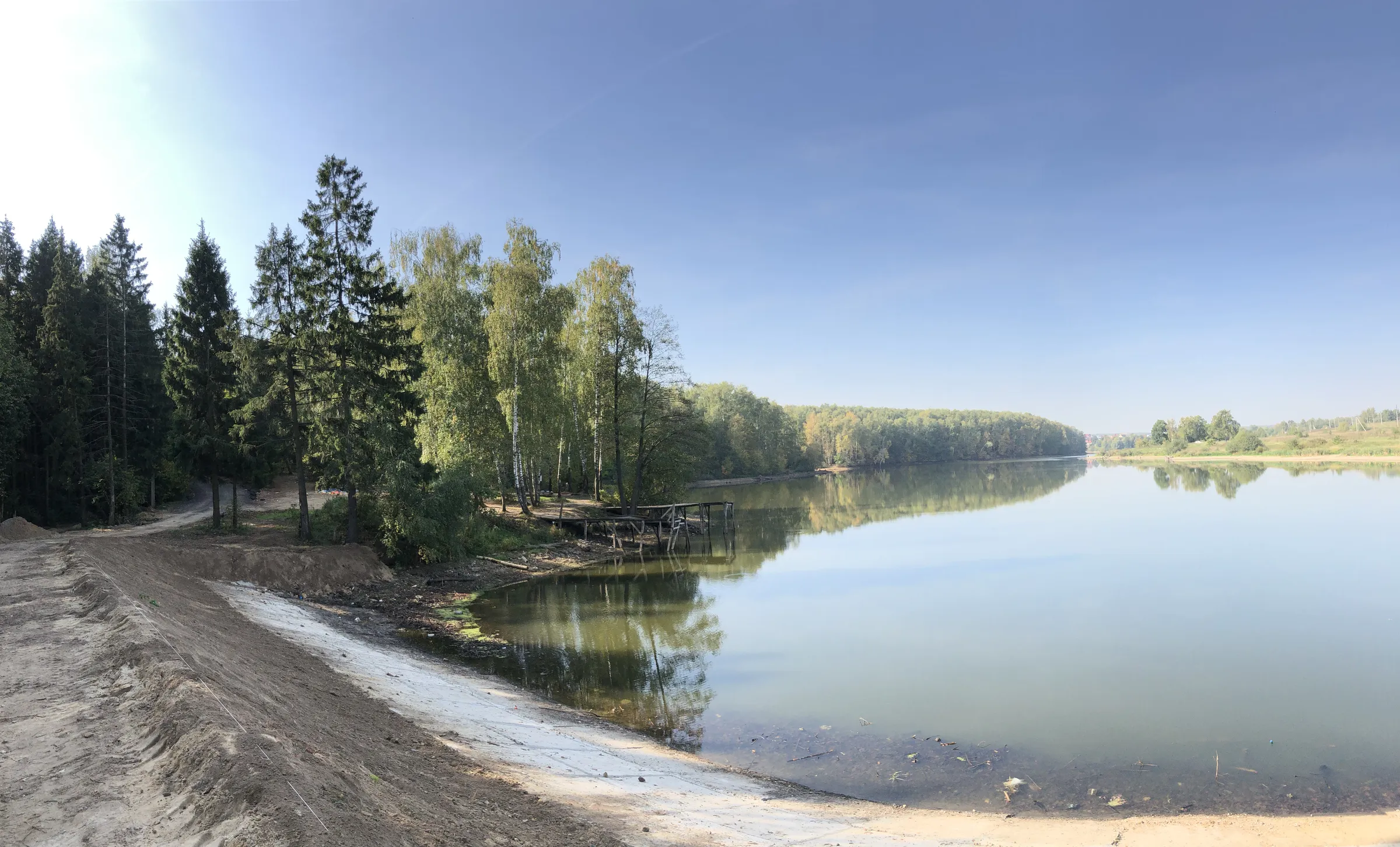 Лес у пруда, фото 3