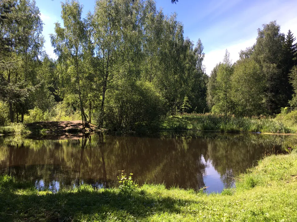 Хвойные поляны, фото 15