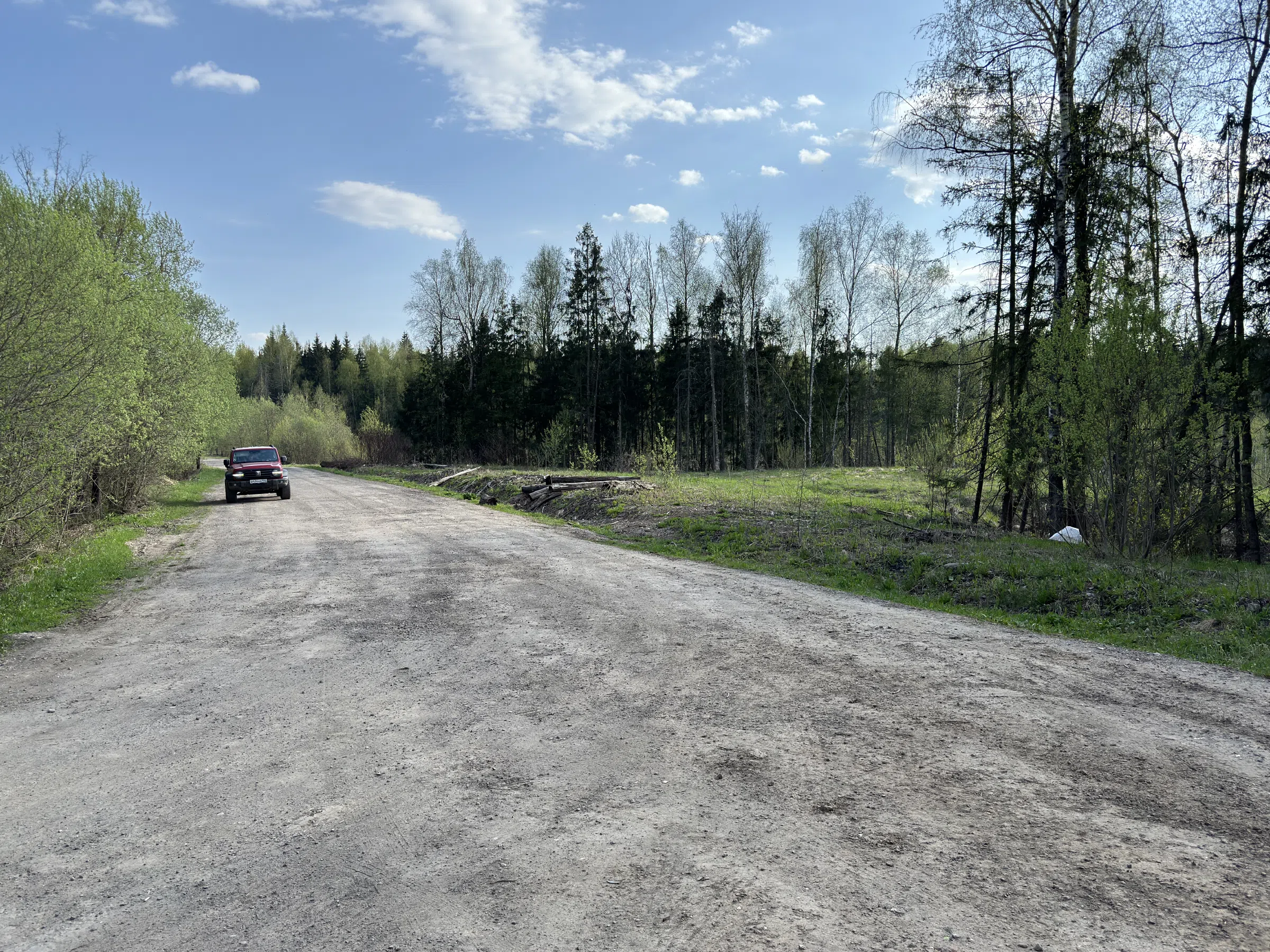 Лесная поляна с дорогой, фото 8