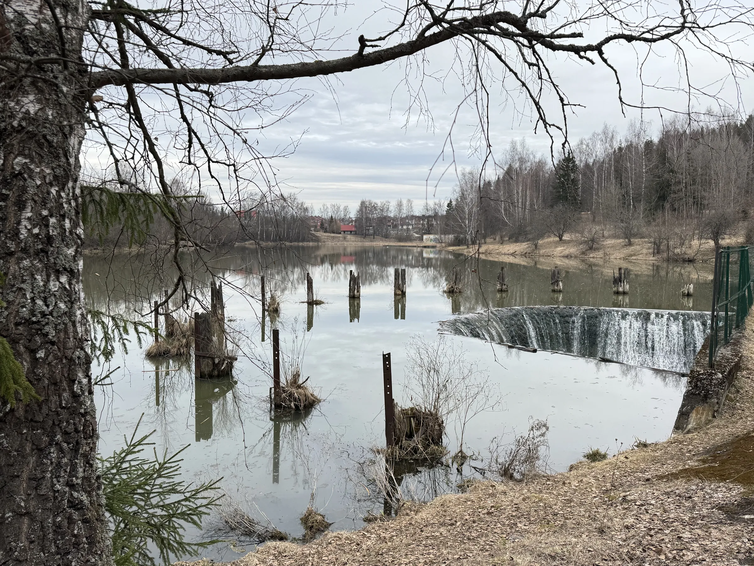 Лесной парк с озером, фото 3