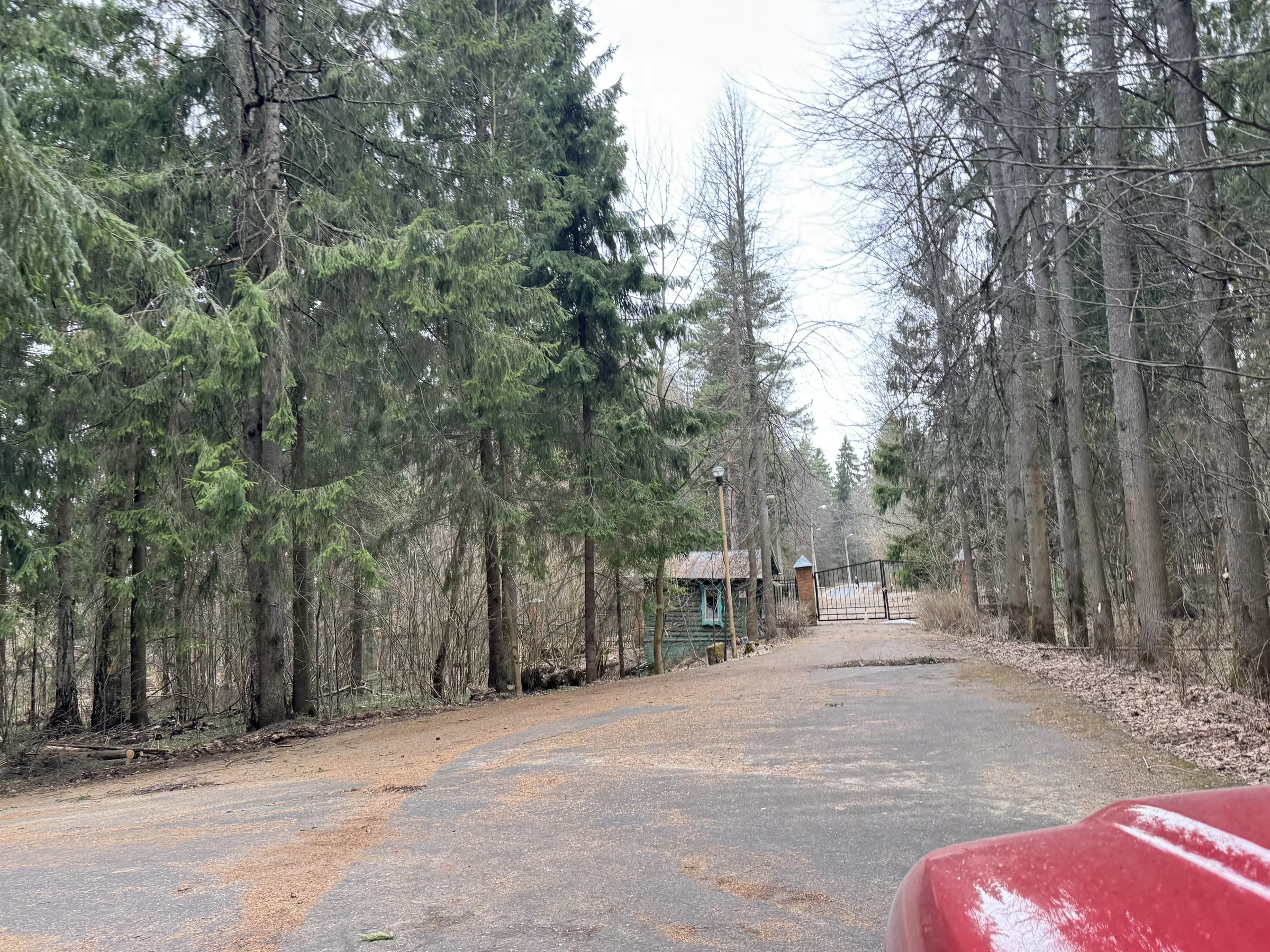 Лесной парк с озером, фото 16