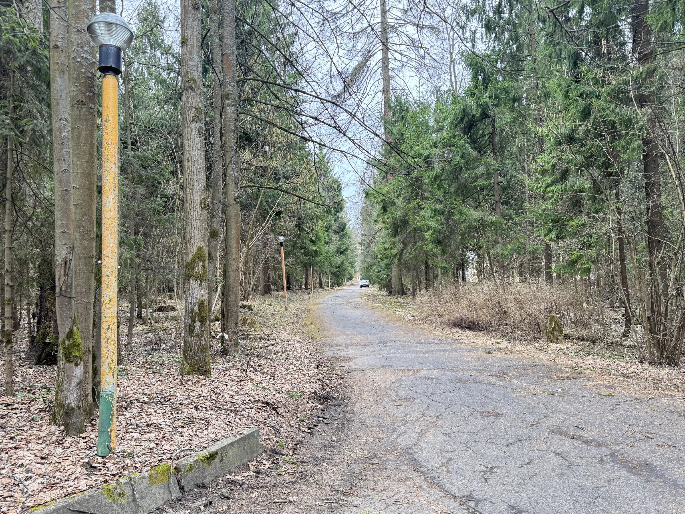 Лесной парк с озером, фото 15
