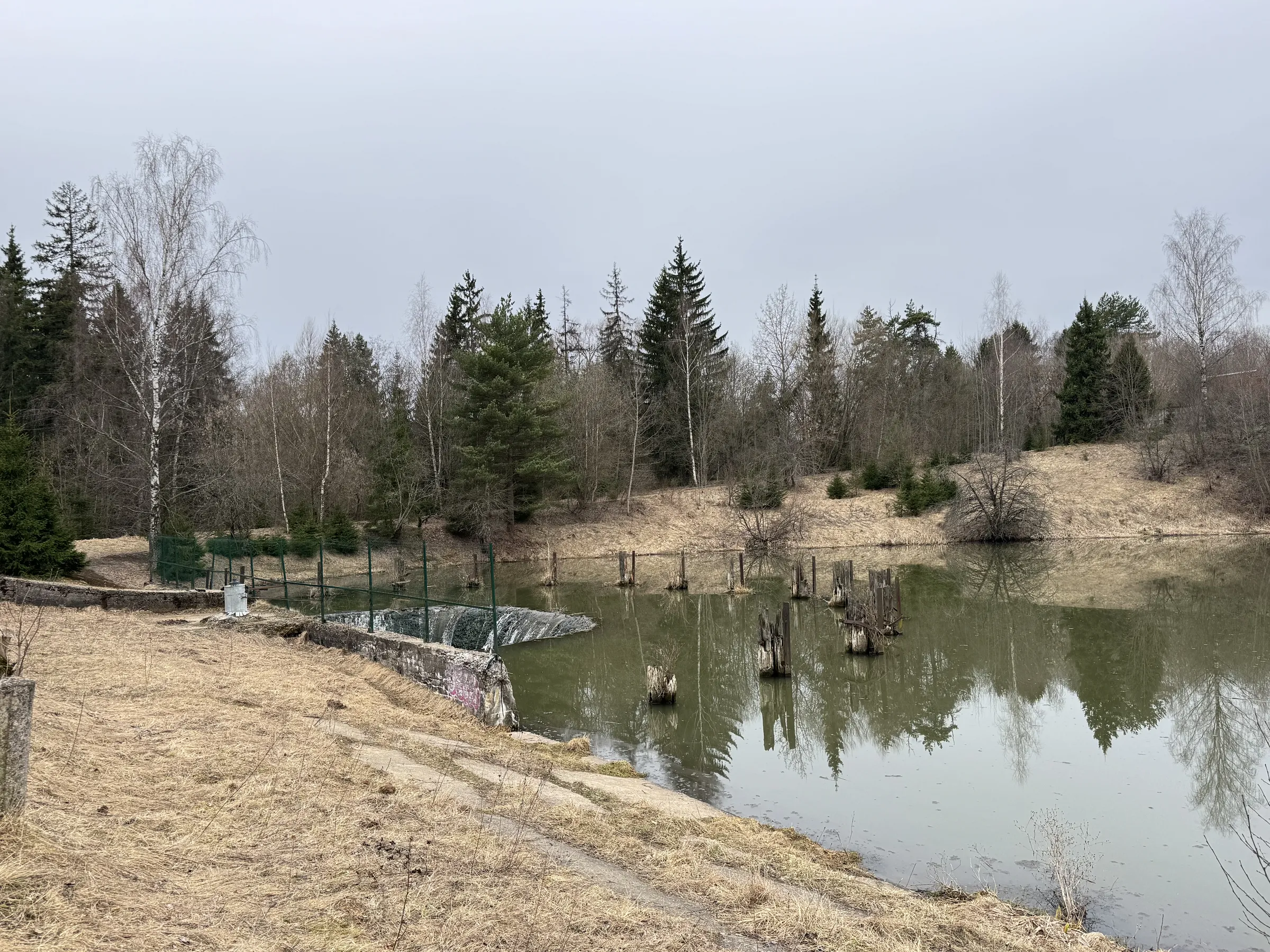 Лесной парк с озером, фото 1