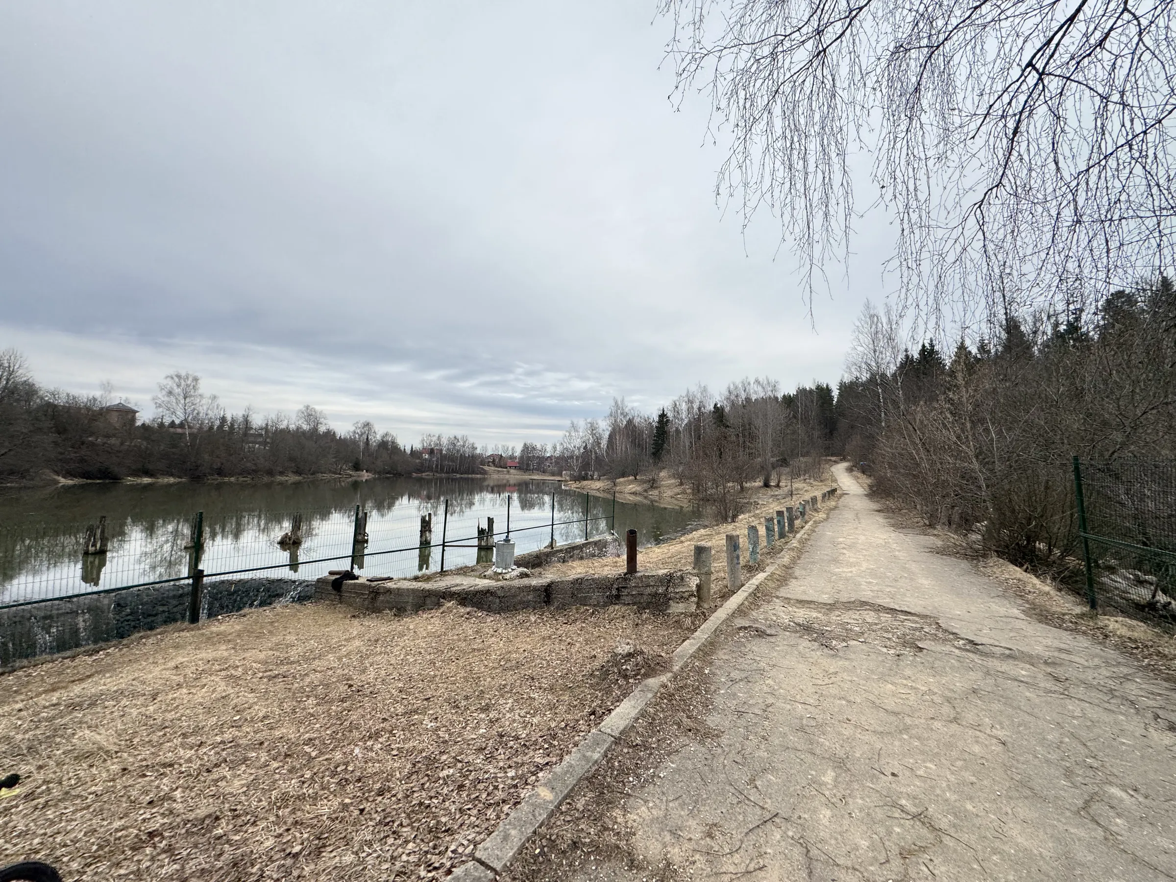 Лесной парк с озером, фото 2