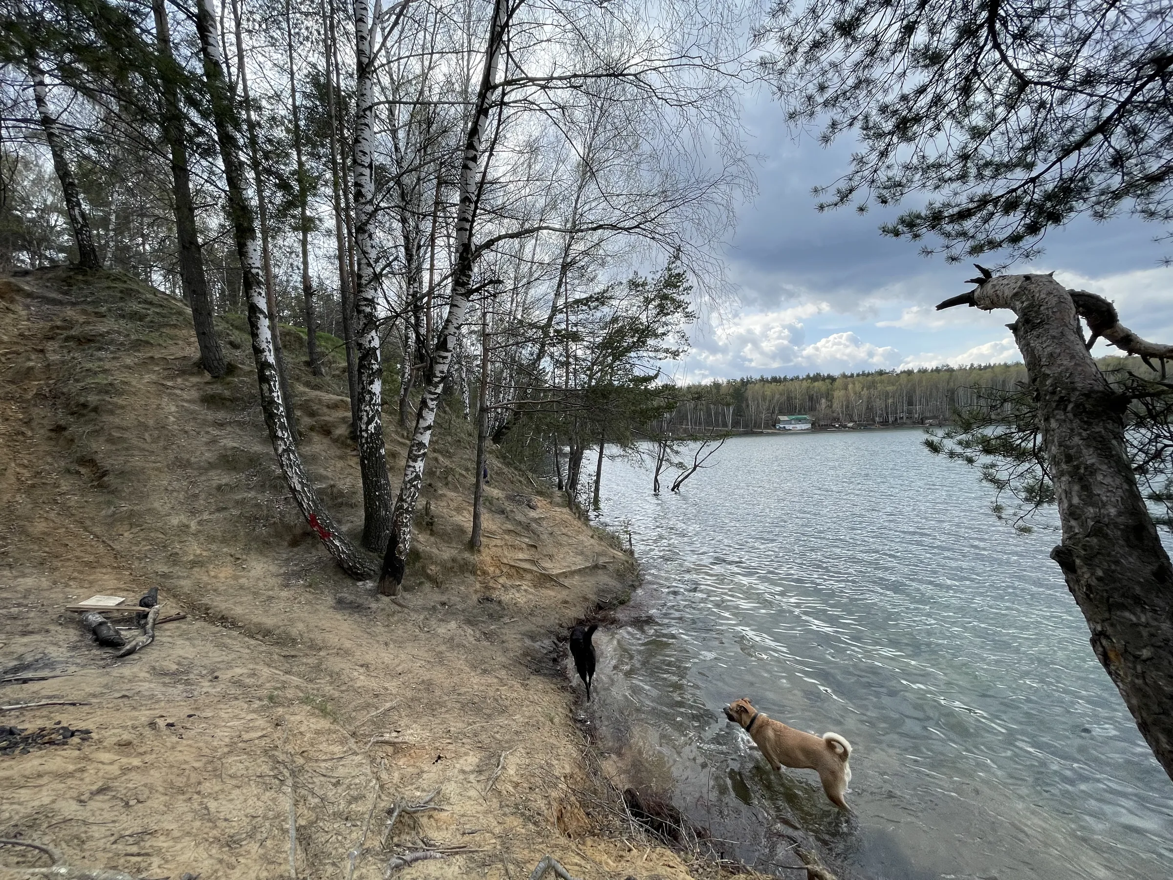 Панорама озера с обрыва, фото 8