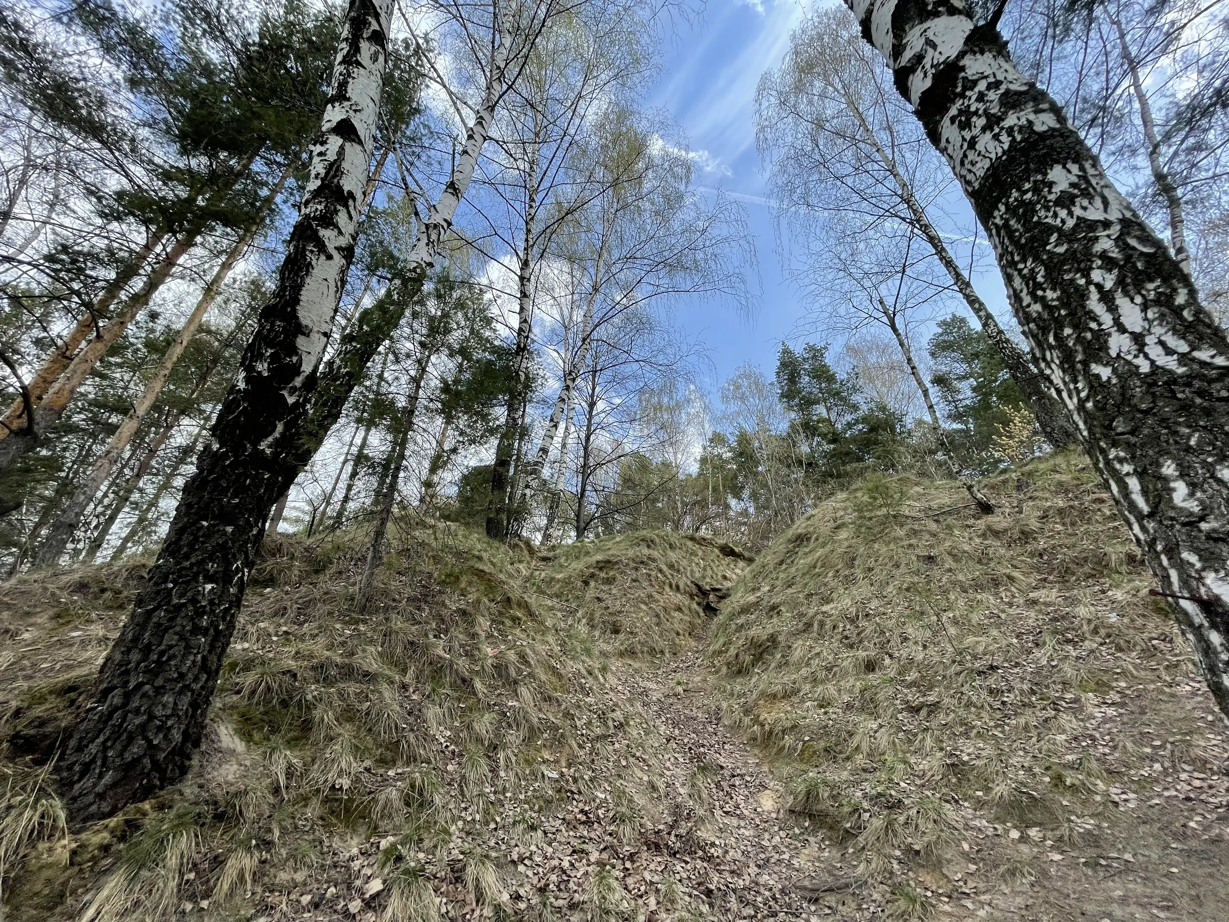 Панорама озера с обрыва, фото 10