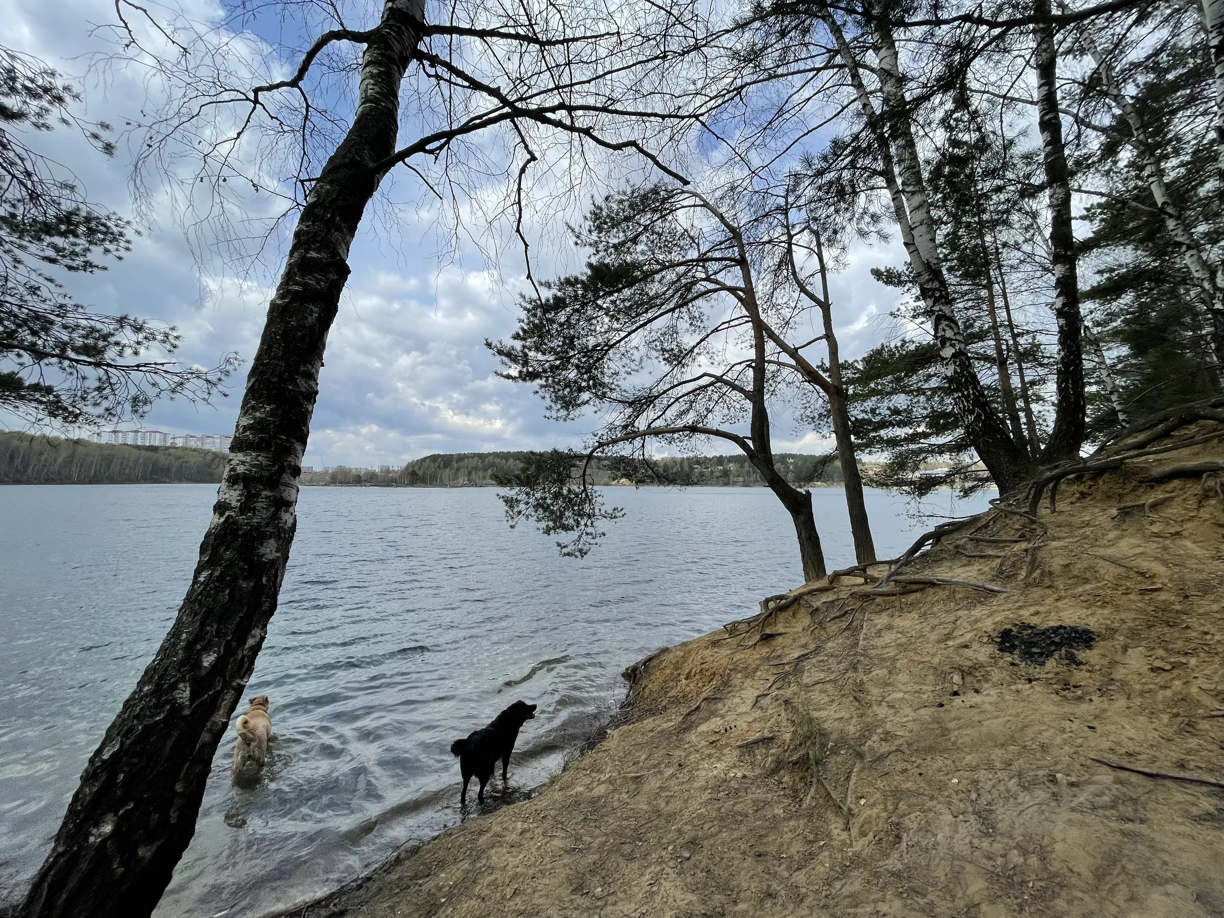 Панорама озера с обрыва, фото 5