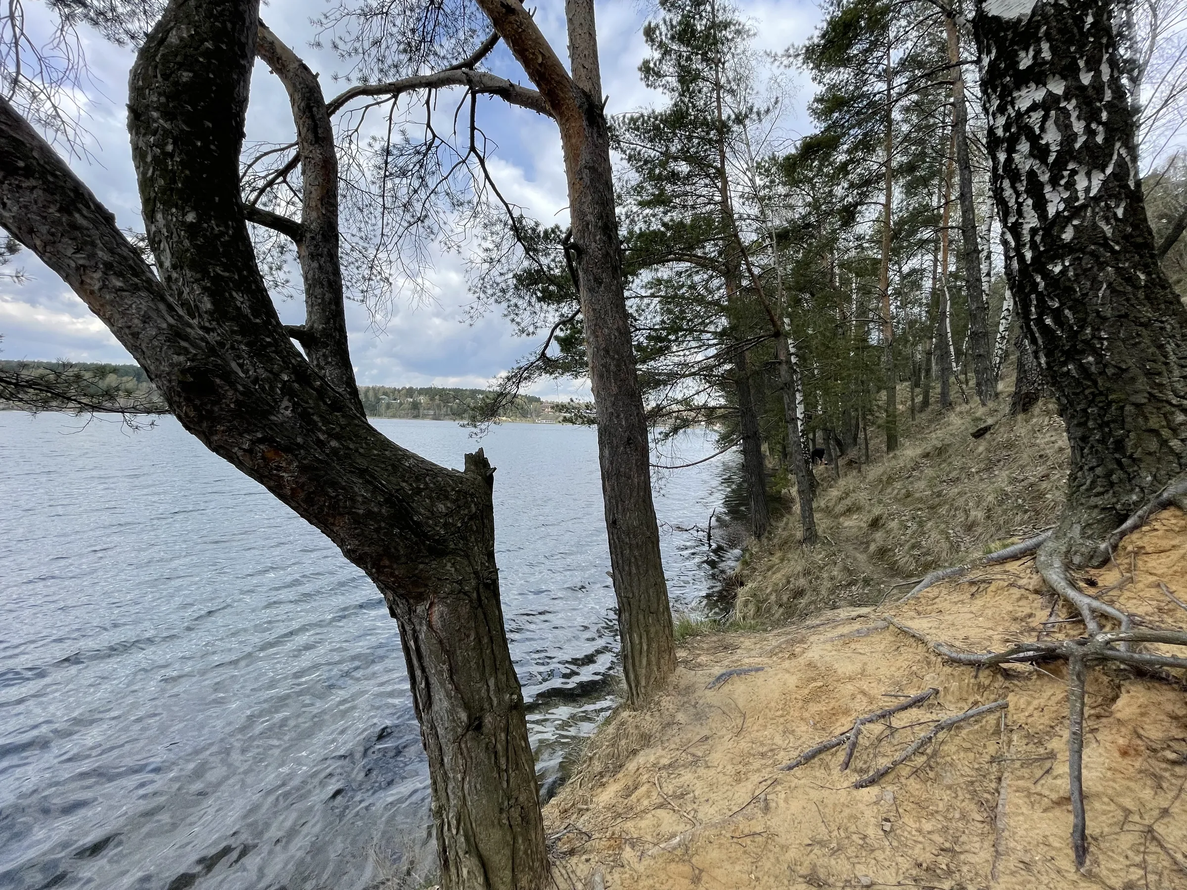 Панорама озера с обрыва, фото 7