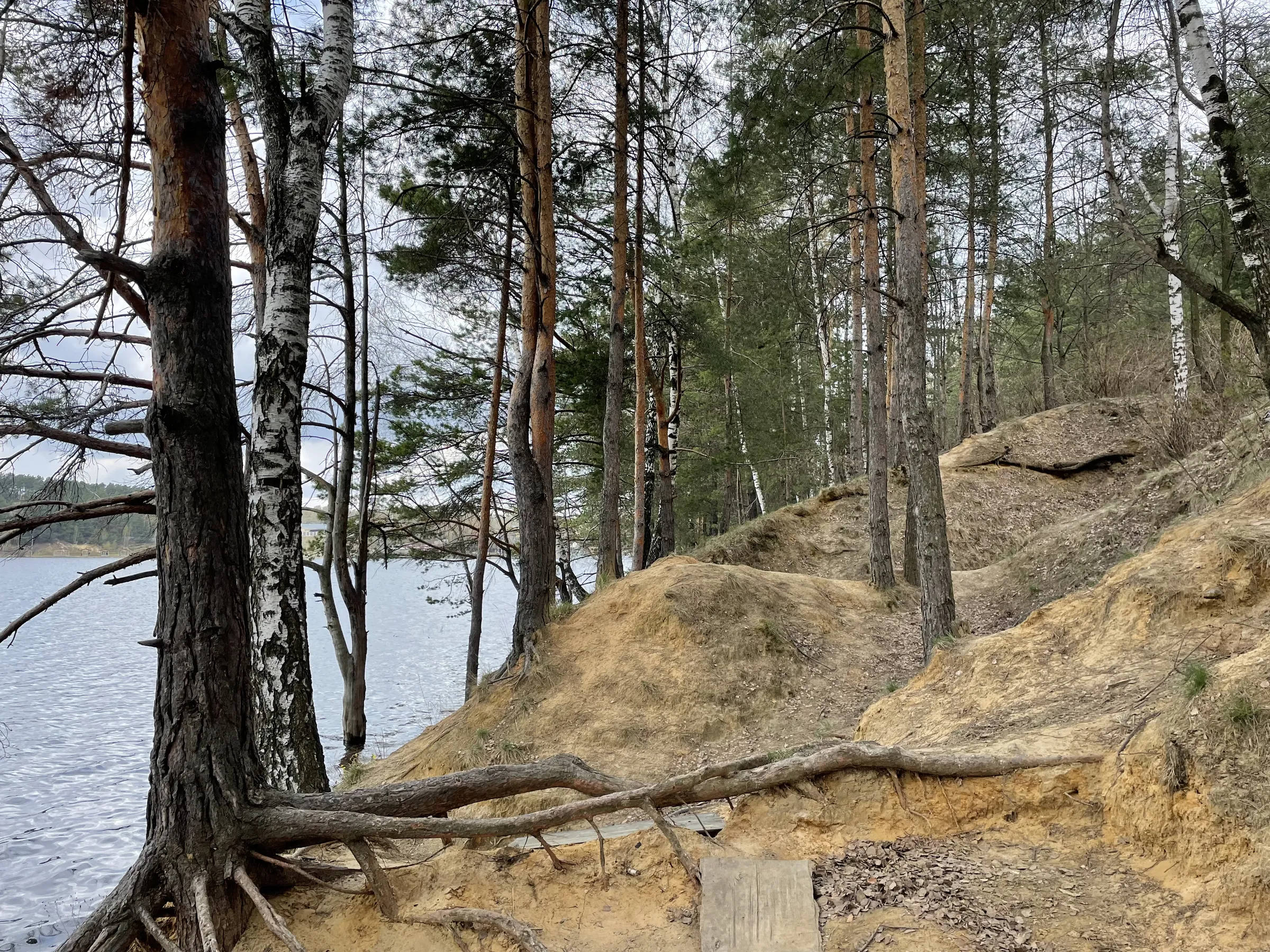 Панорама озера с обрыва, фото 14
