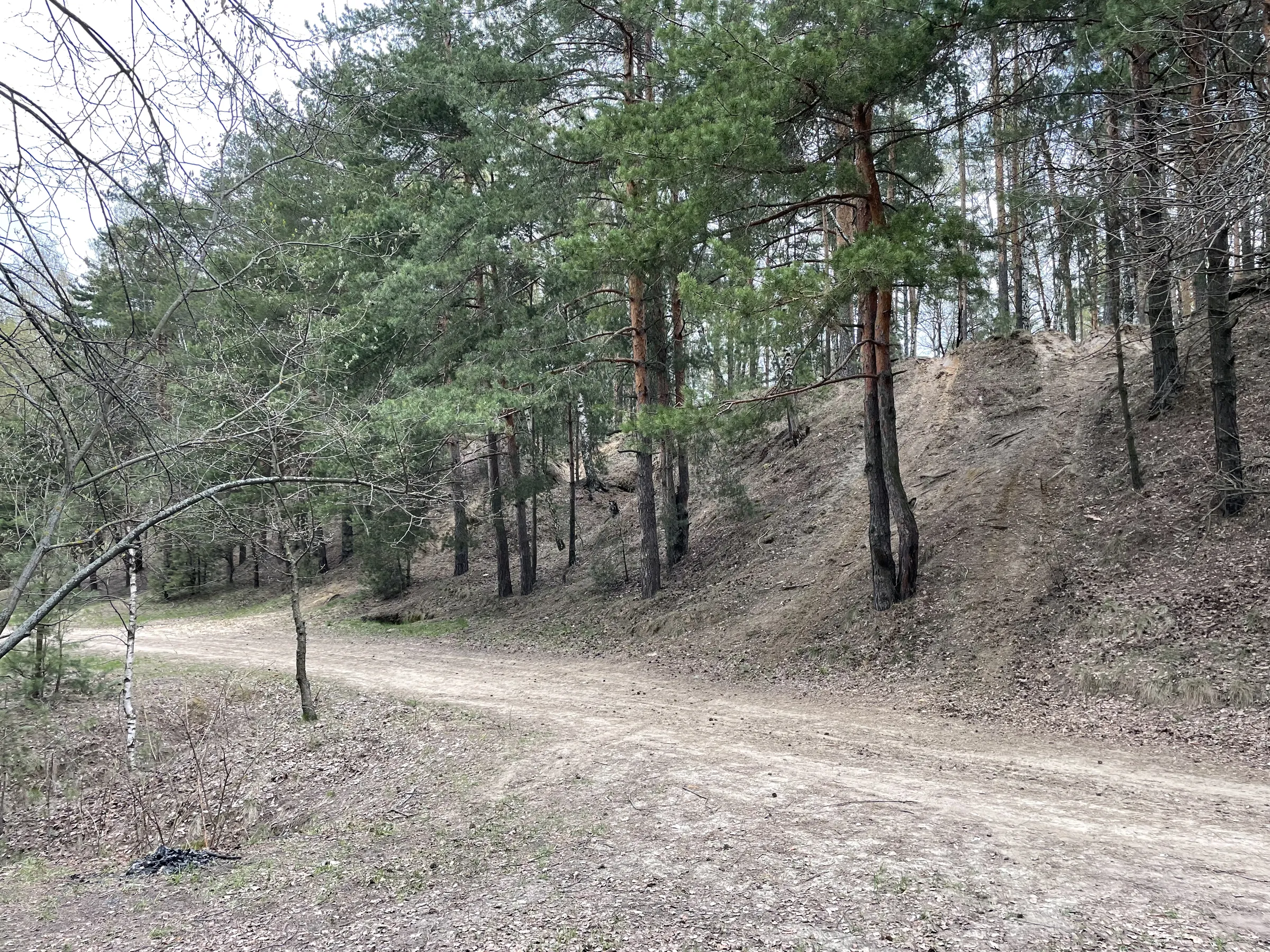 Панорама озера с обрыва, фото 21