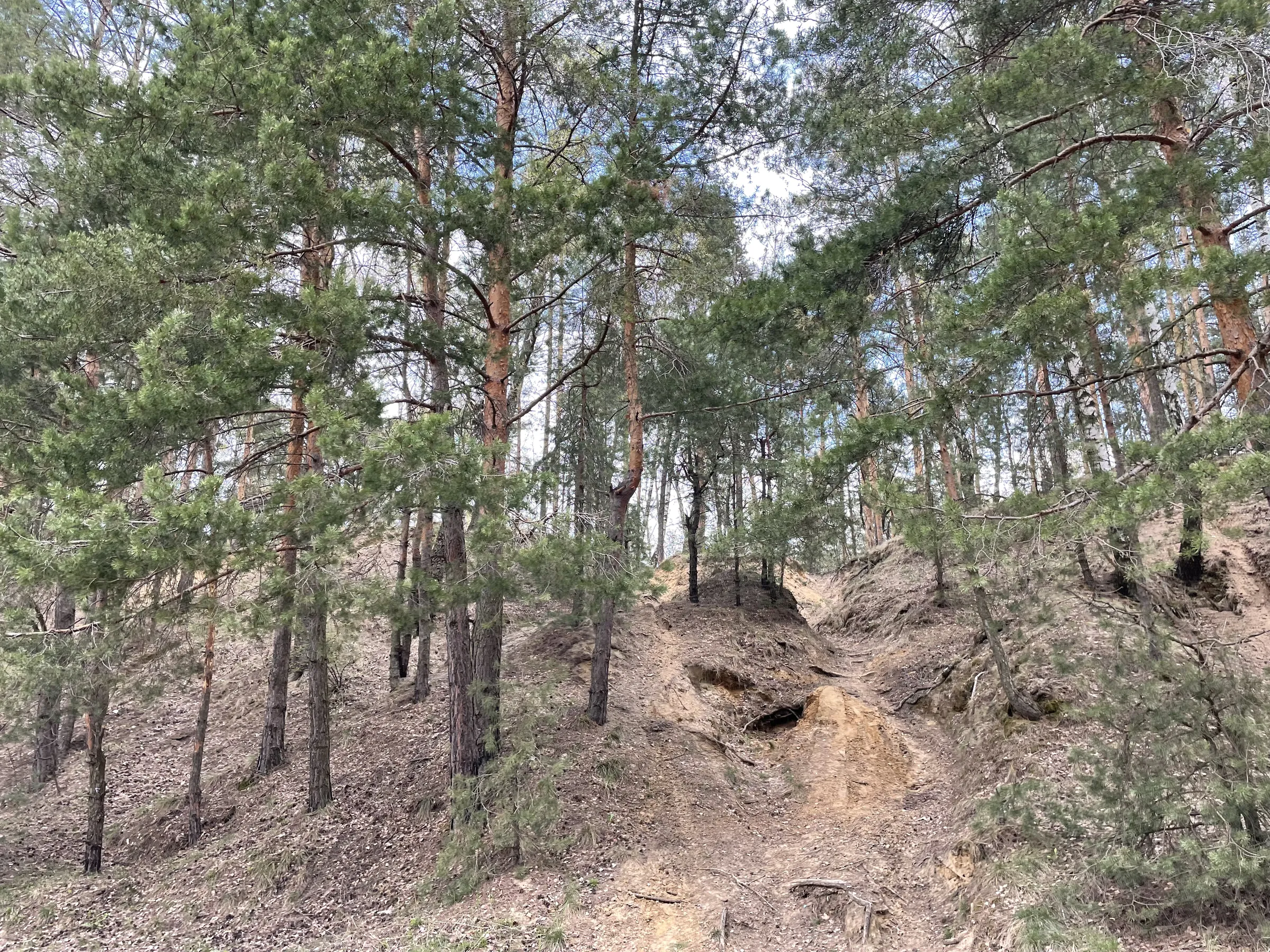 Панорама озера с обрыва, фото 24