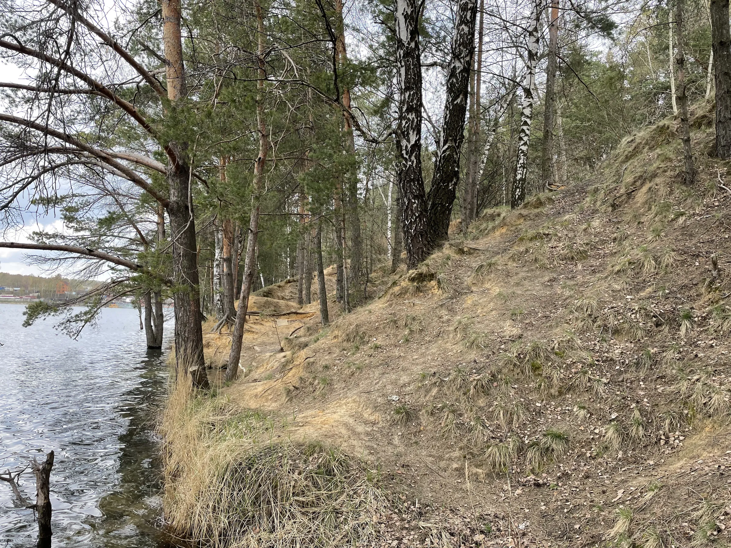 Панорама озера с обрыва, фото 12