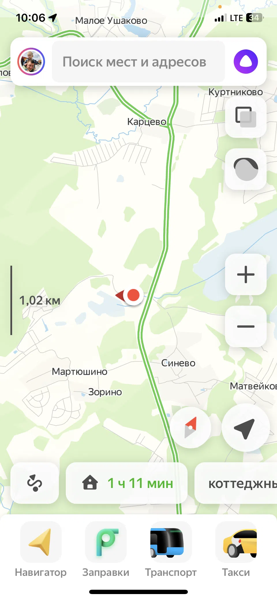 Поляна у дороги, фото 1