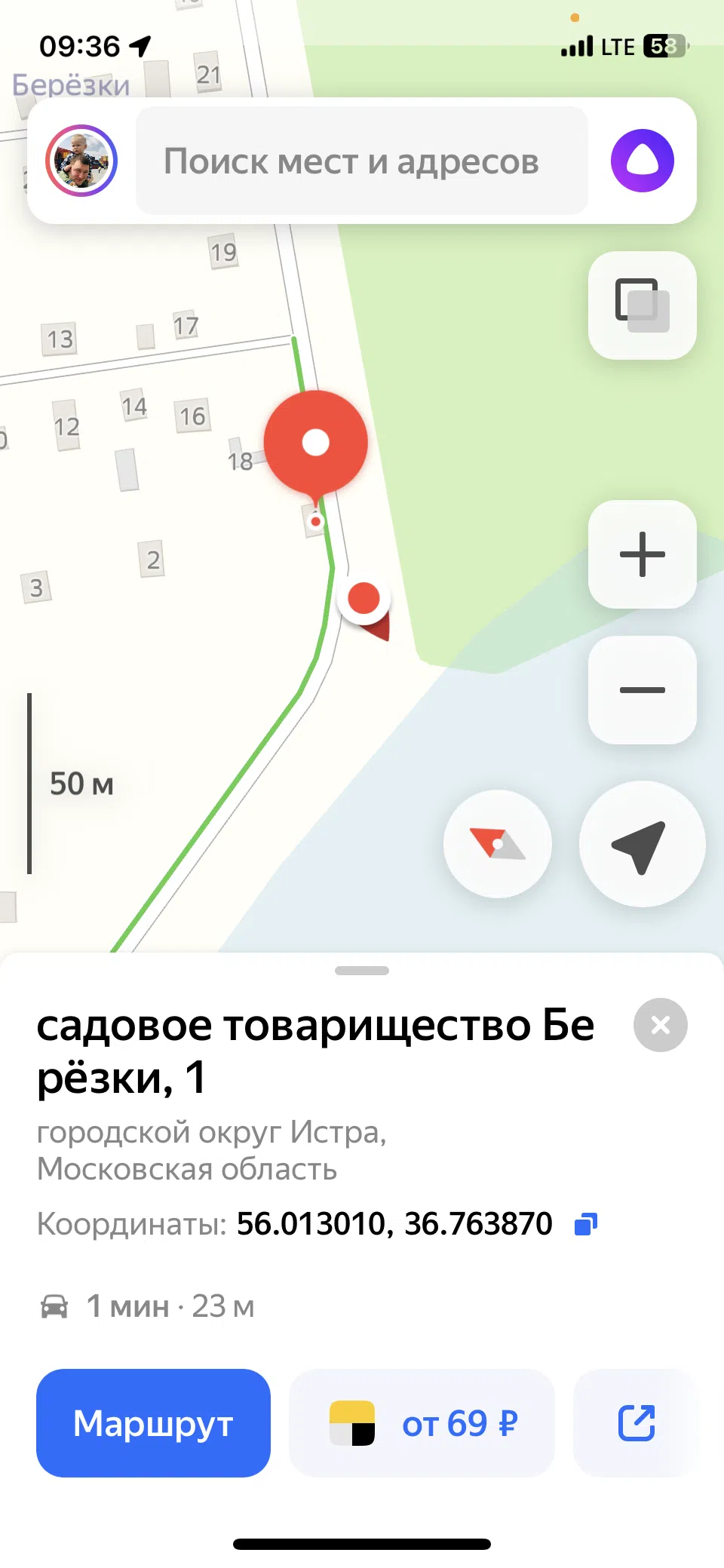 Хвойный лес с делянкой, фото 1