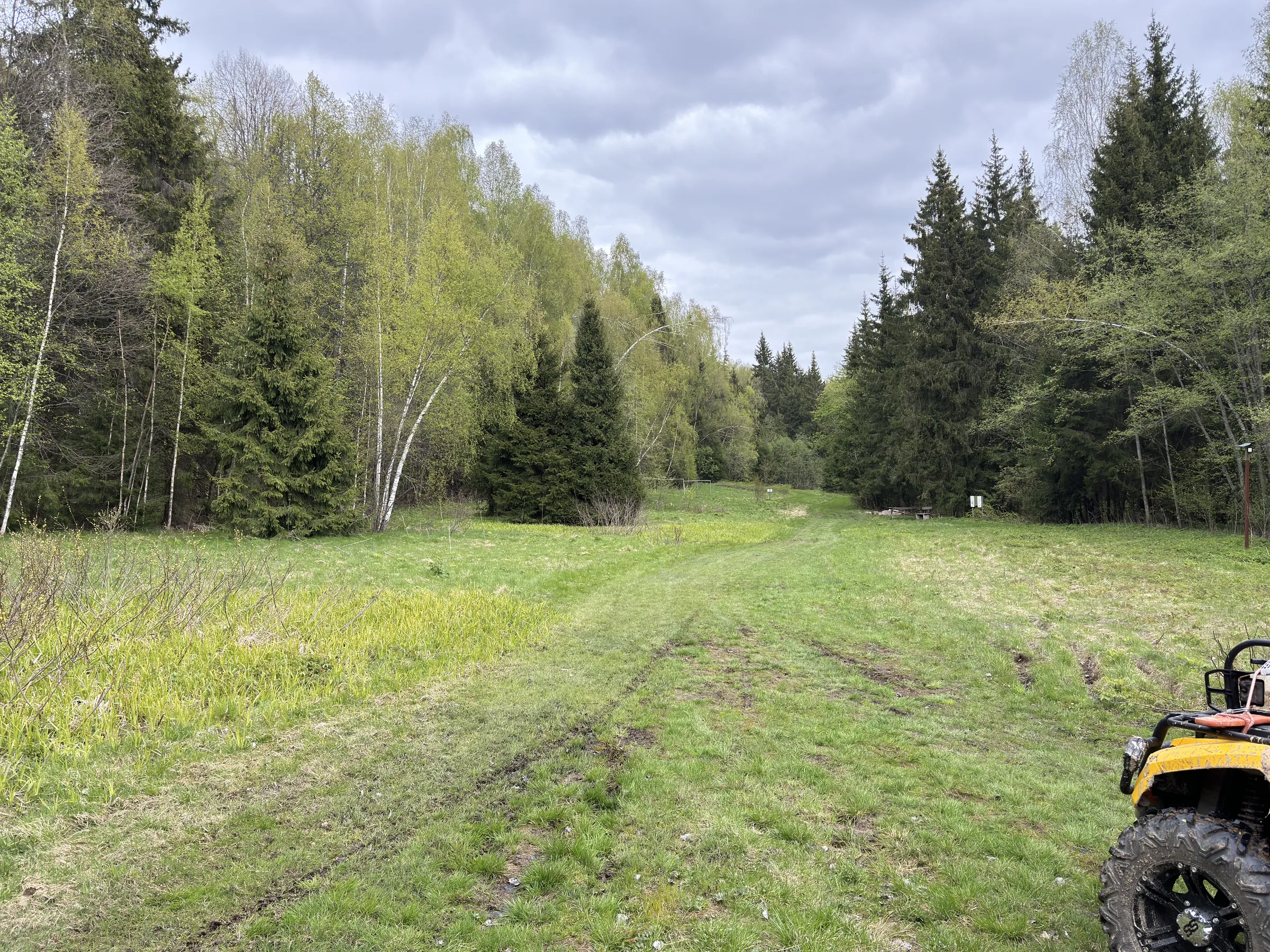 Лес у парковки, фото 12