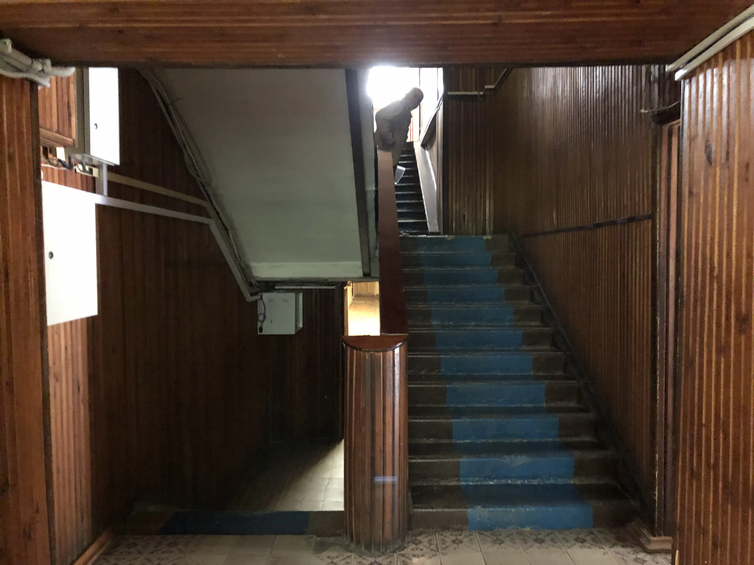 Розовый дом в лесу, фото 12