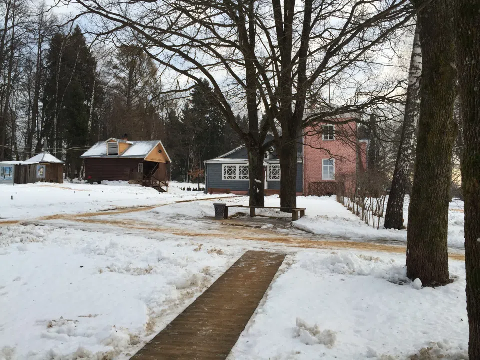 Усадьба в зимнем парке, фото 12
