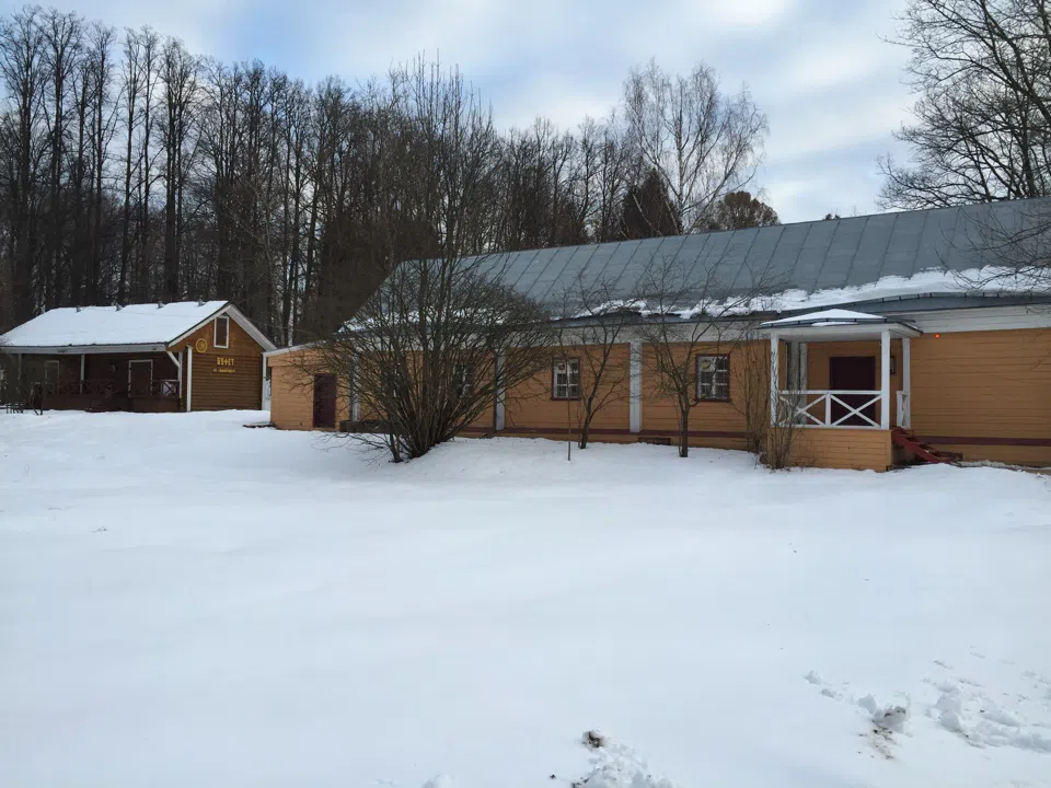 Усадьба в зимнем парке, фото 23