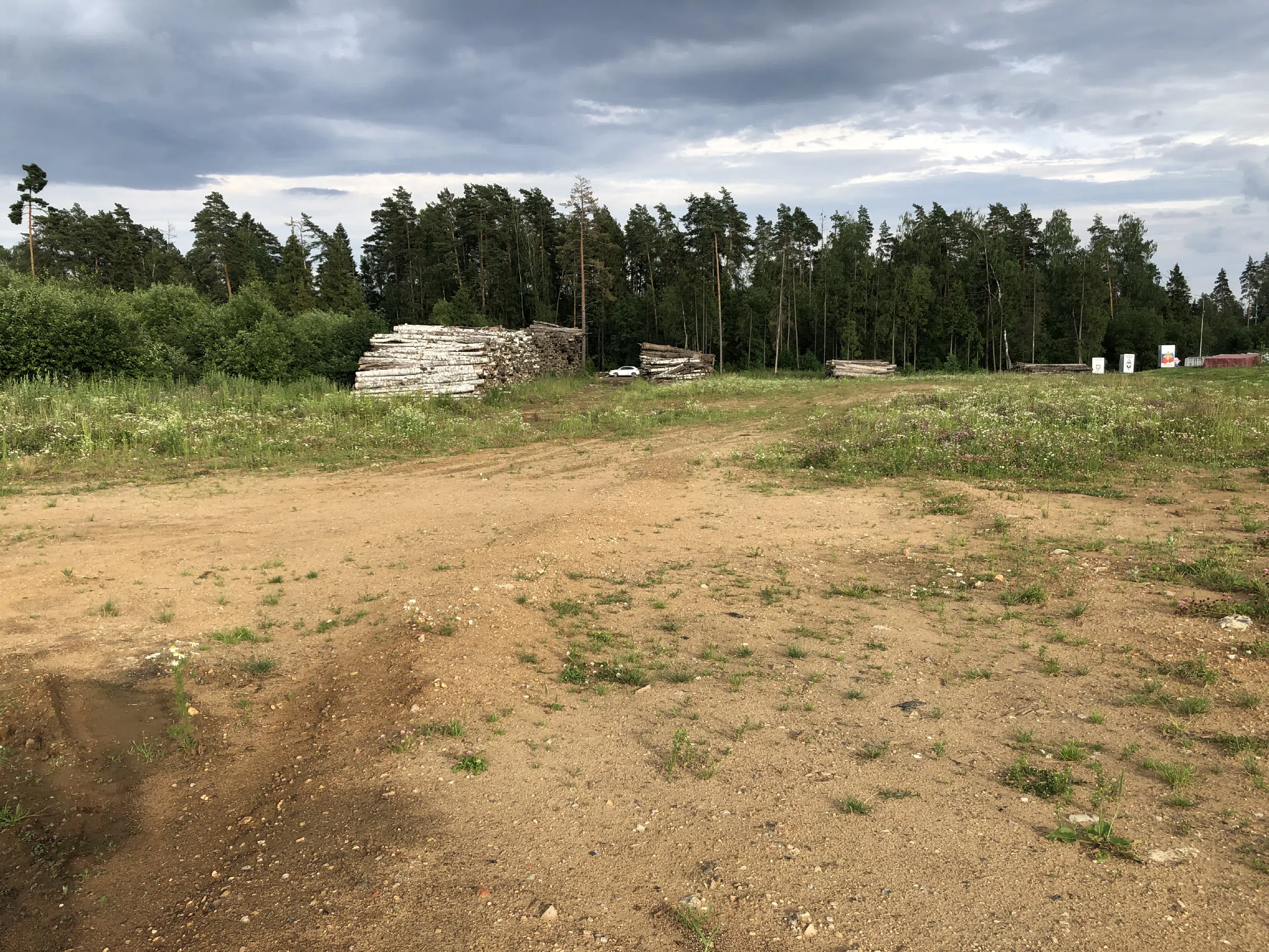 Поленница в лесу, фото 6