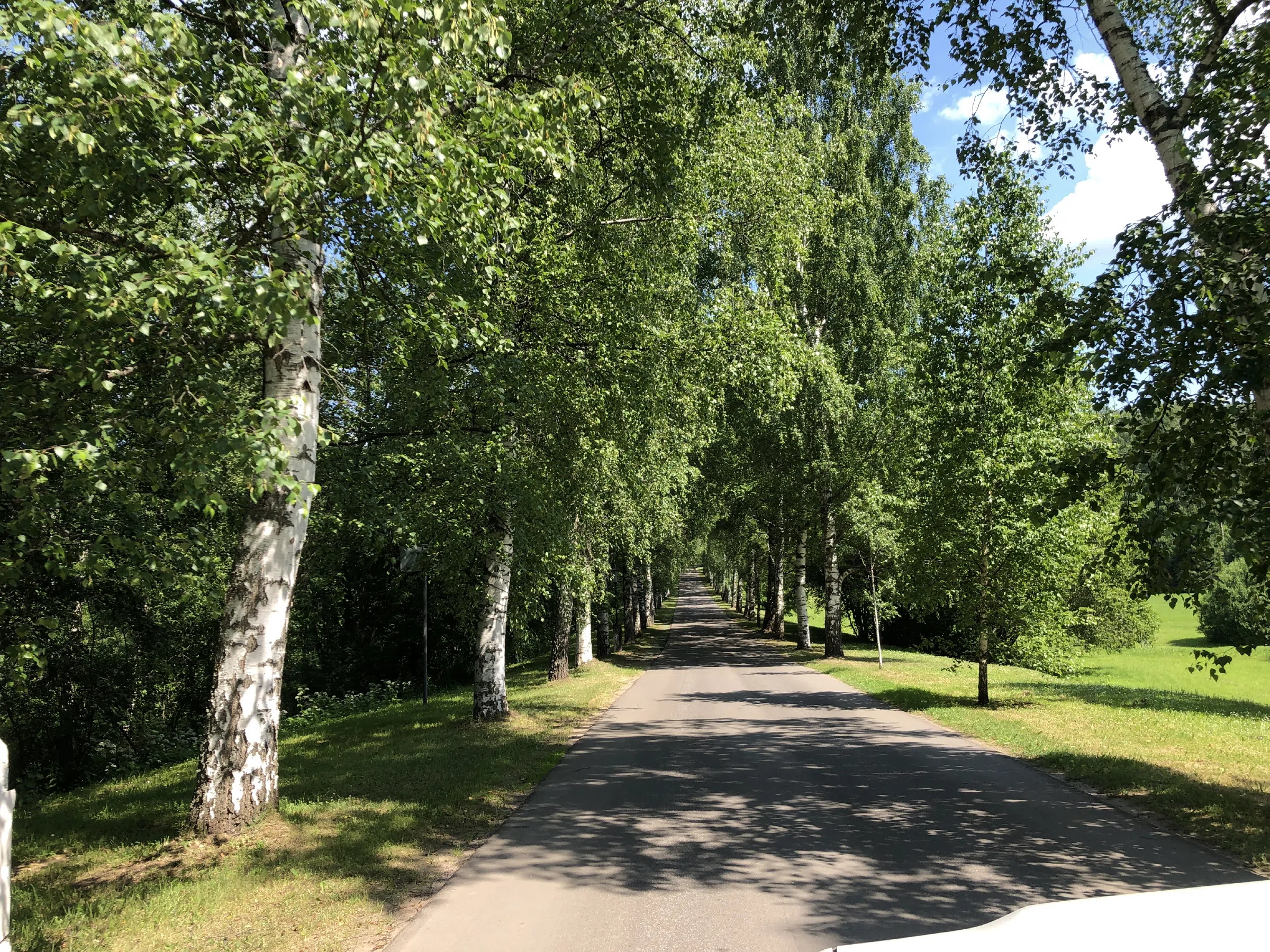 Усадьба с березовой аллеей, фото 4