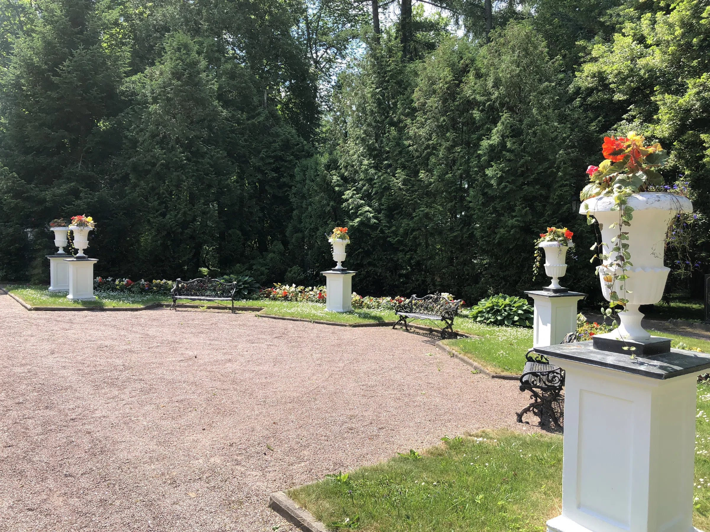 Усадьба с березовой аллеей, фото 19