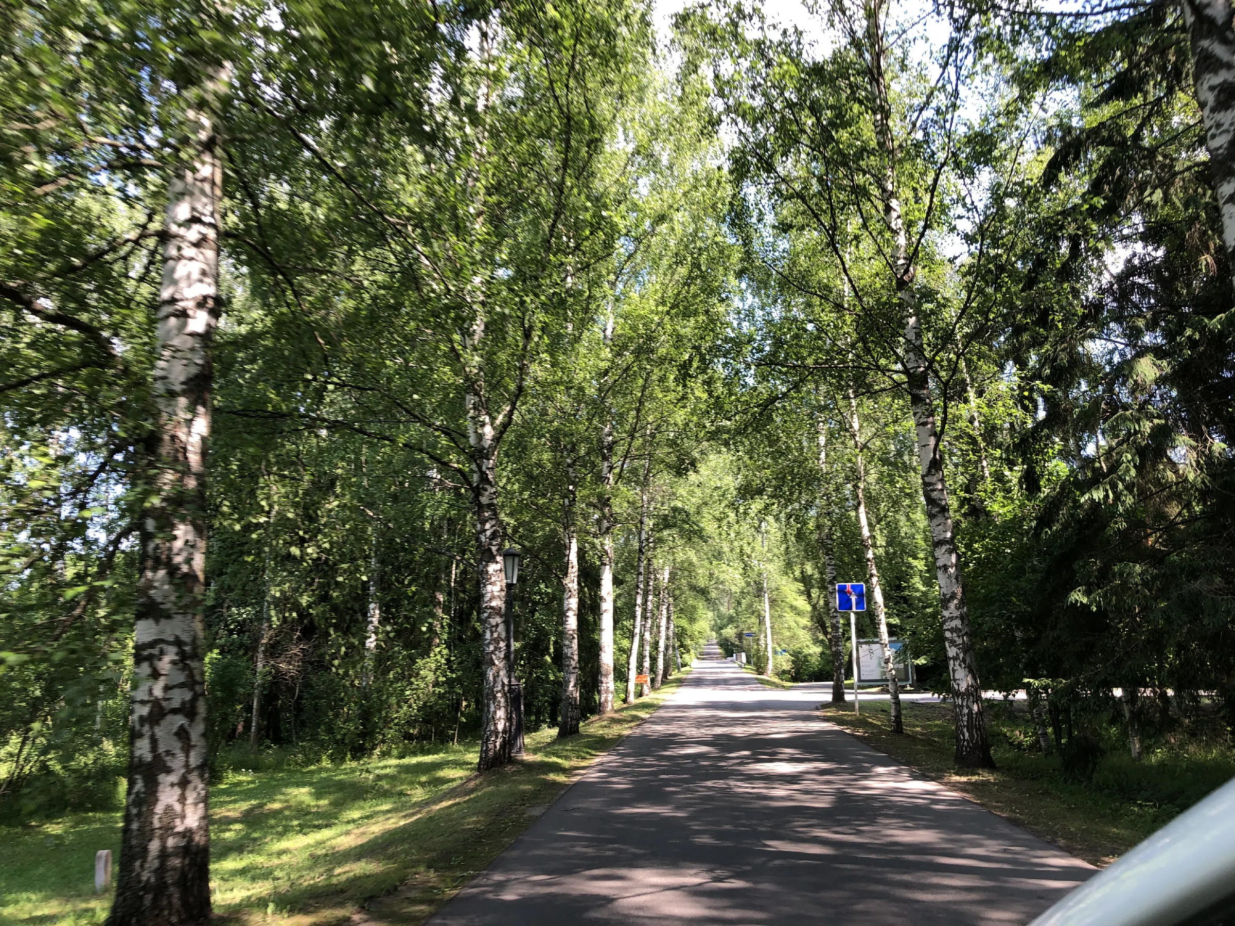 Усадьба с березовой аллеей, фото 1
