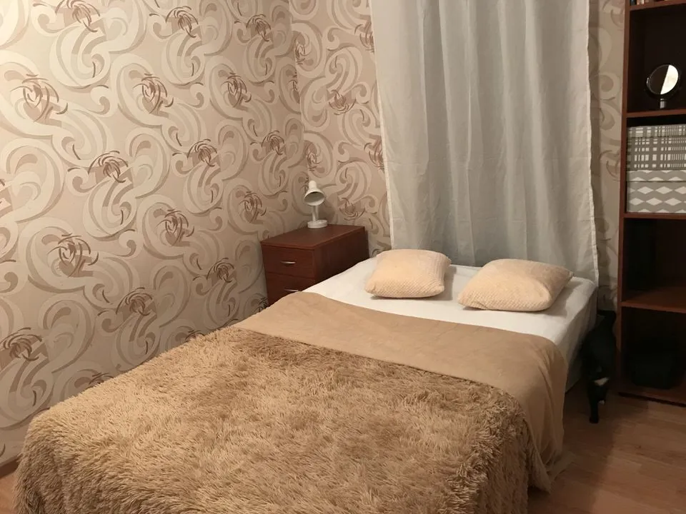 Хрущёвка с чердачным котом, фото 14