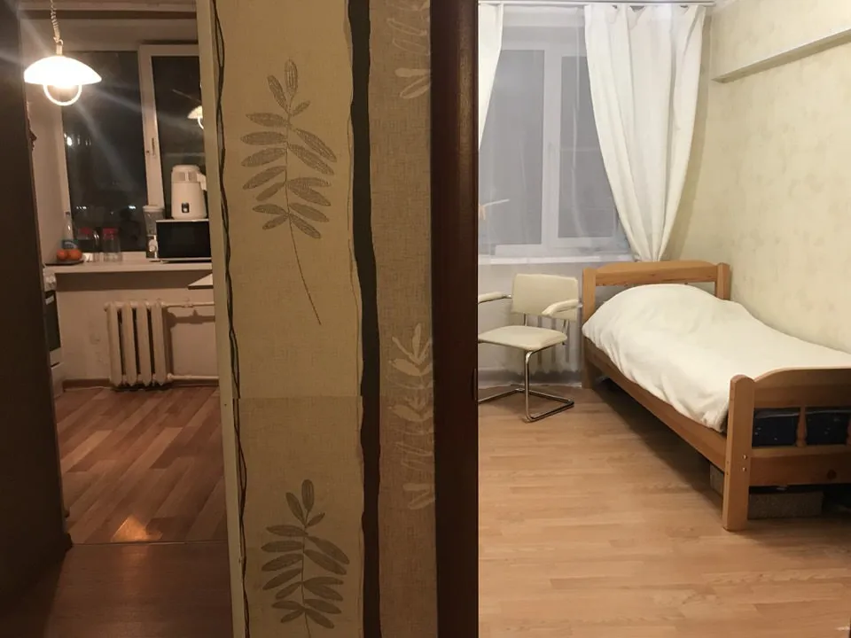 Хрущёвка с чердачным котом, фото 2