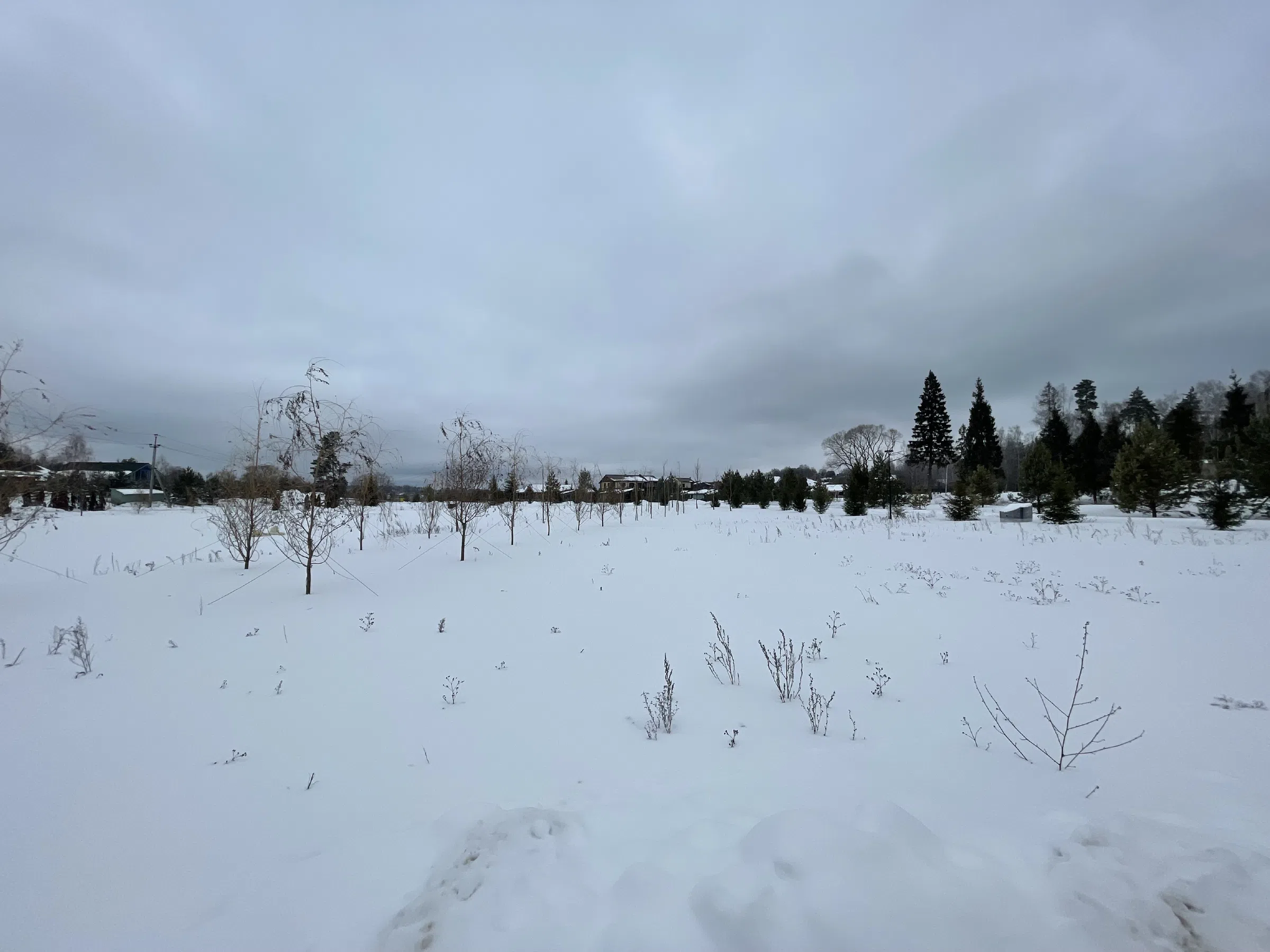 Два деревянных дома, фото 4