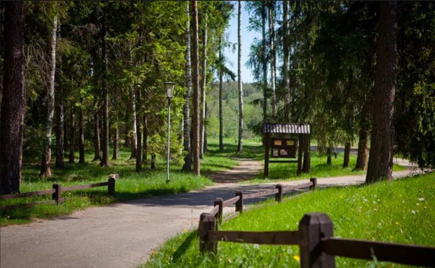 Кантри-отель с бассейном, фото 11
