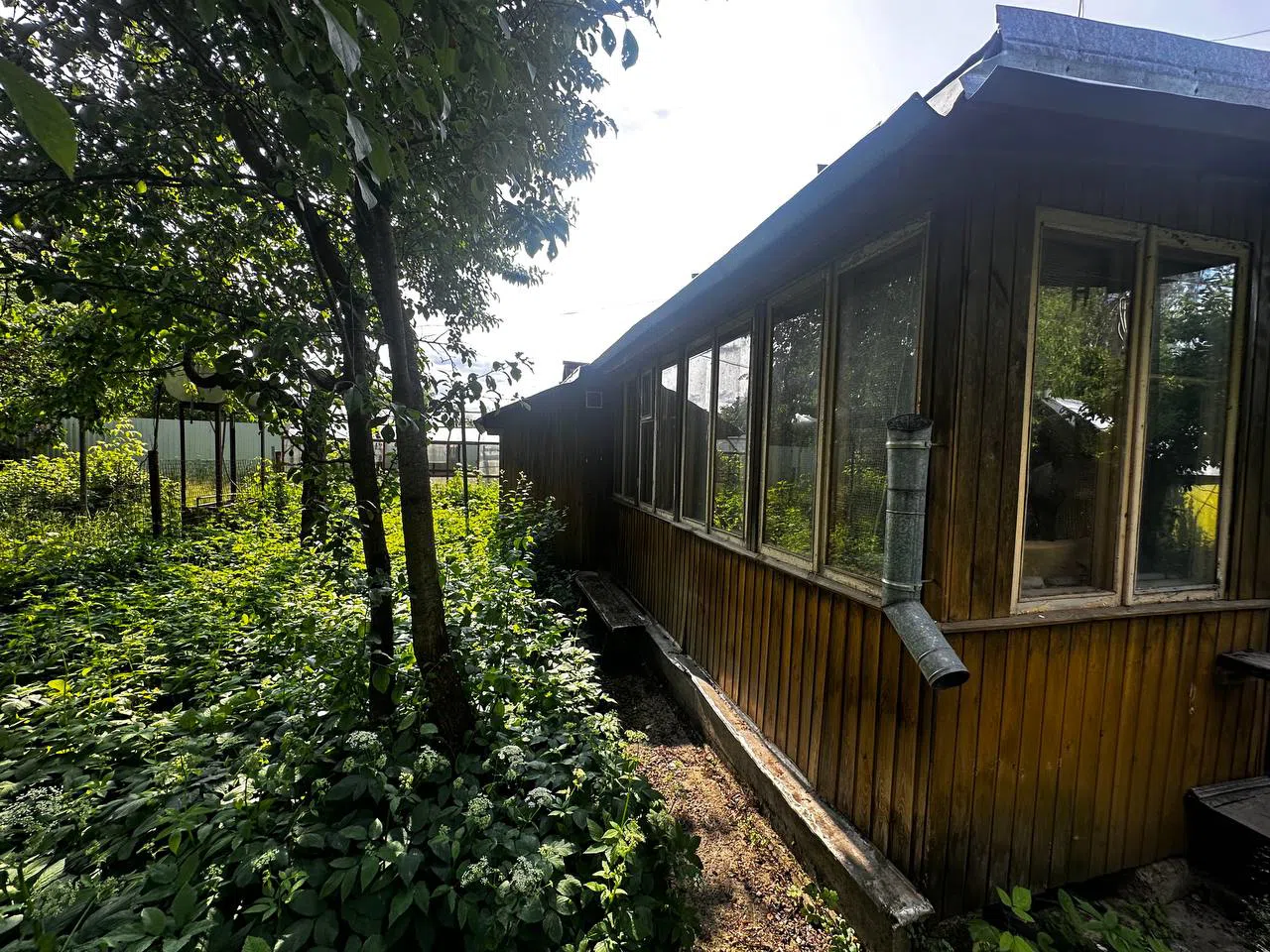Дача с желтой сеткой, фото 10