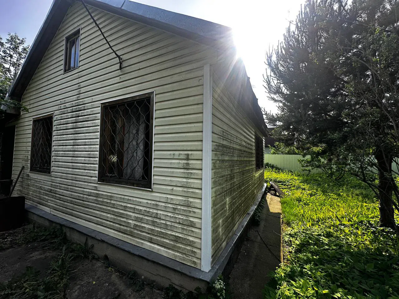 Дача с желтой сеткой, фото 13