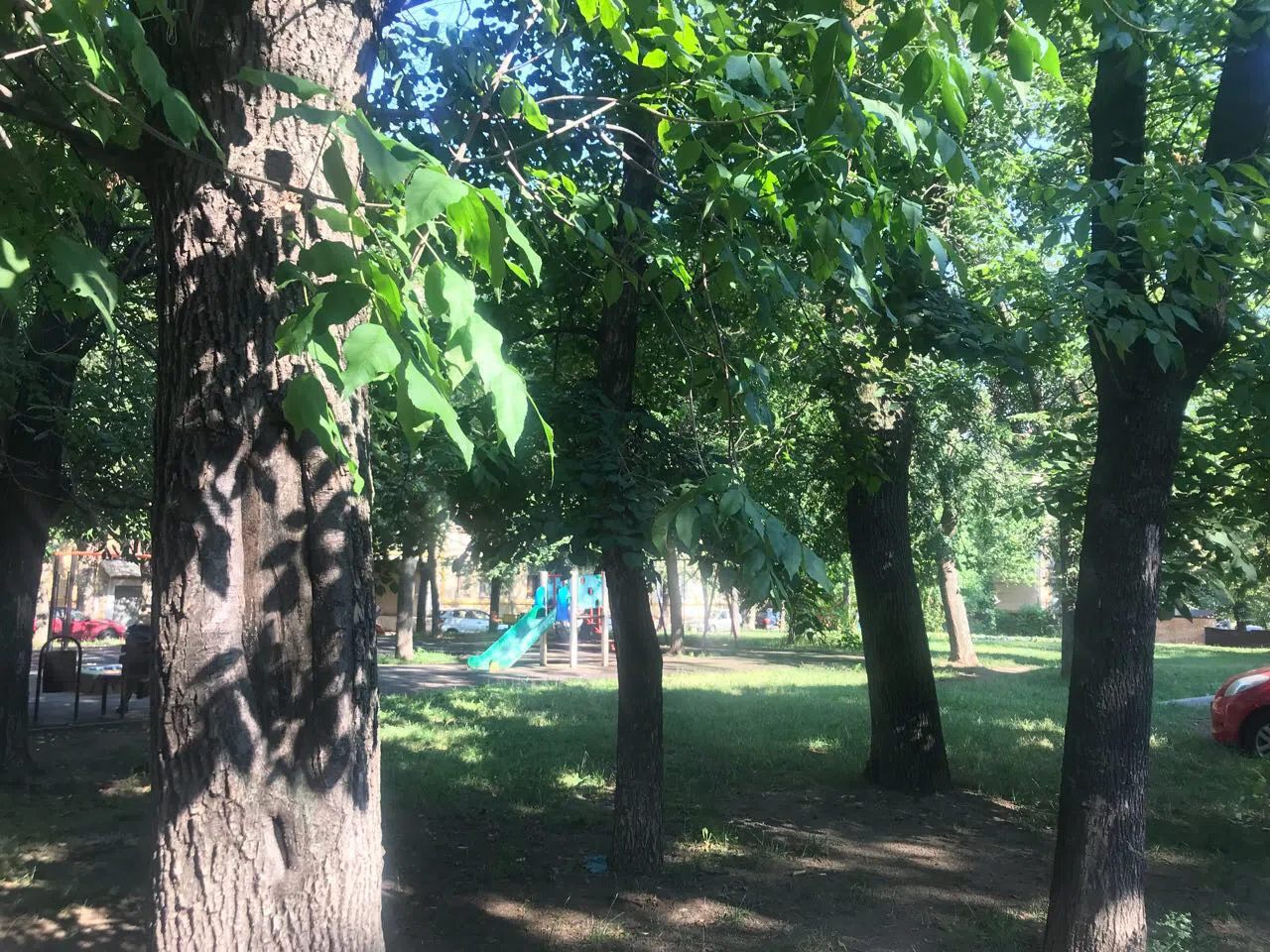 Сталинка с зеленым двором, фото 4