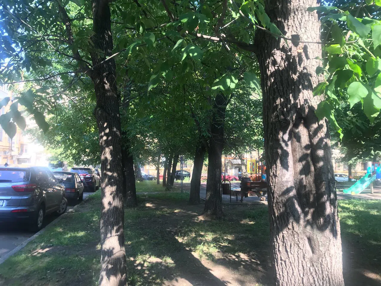 Сталинка с зеленым двором, фото 2