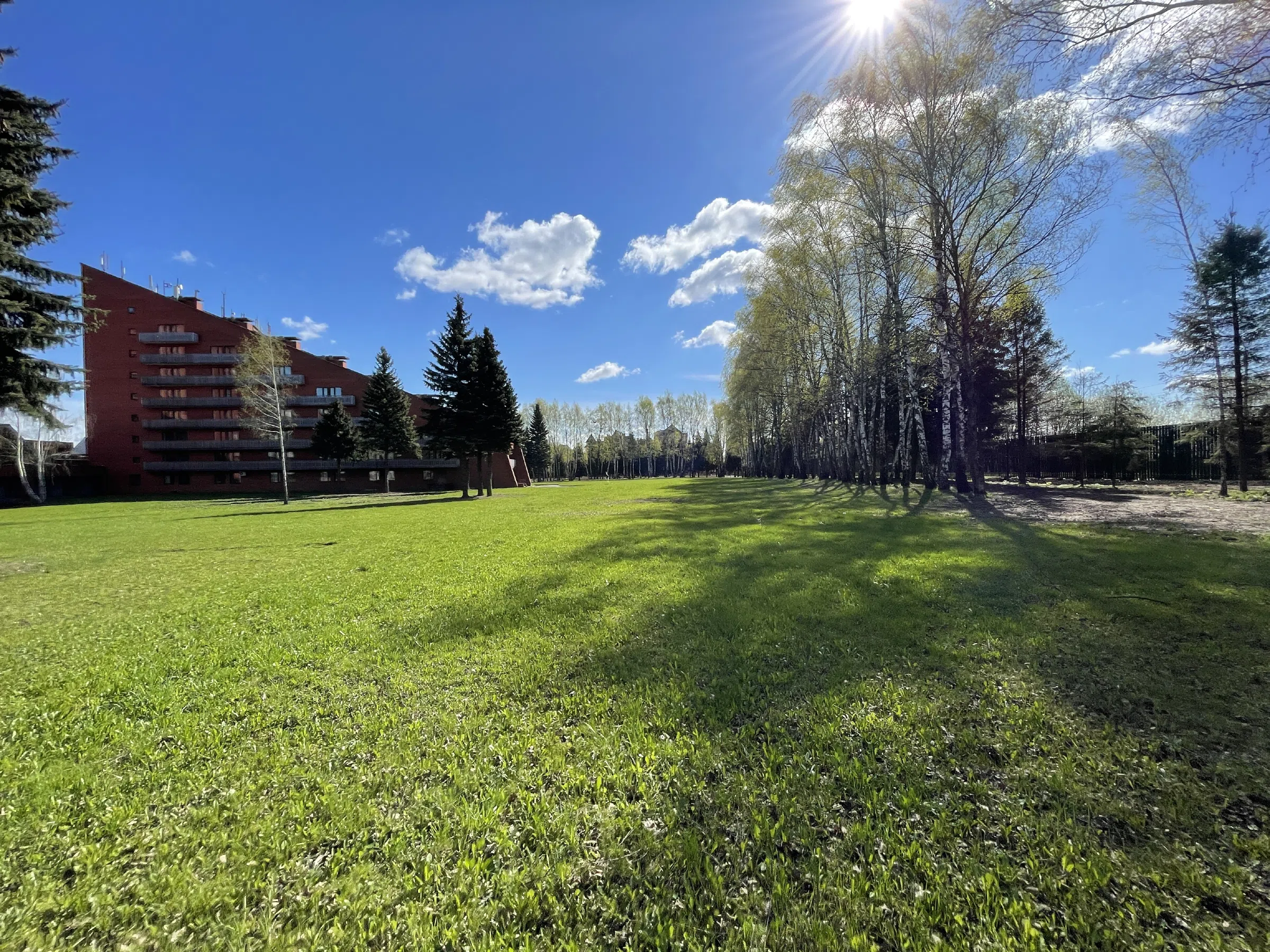 Офис с террасами из кирпича, фото 4