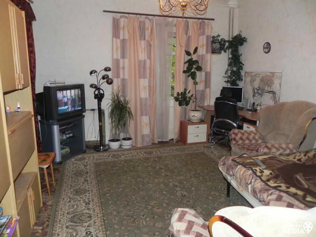 Сталинка с журавлями, фото 12