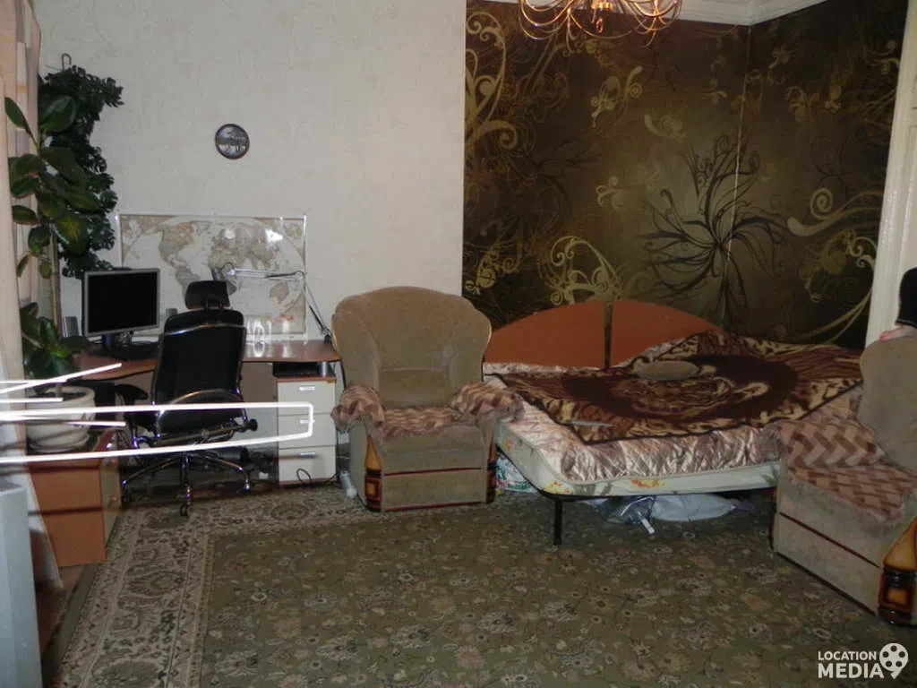 Сталинка с журавлями, фото 16