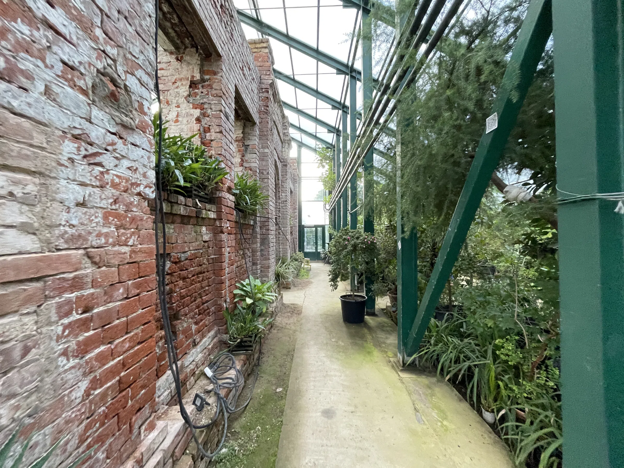 Павильон с оранжереей, фото 15