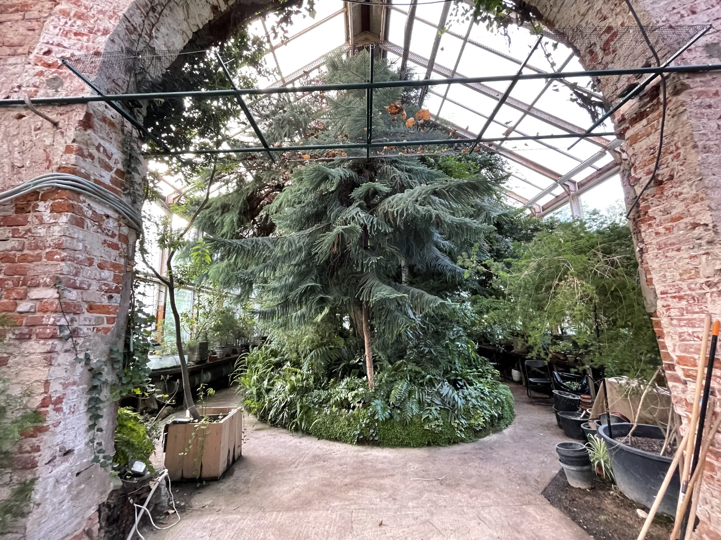 Павильон с оранжереей, фото 23
