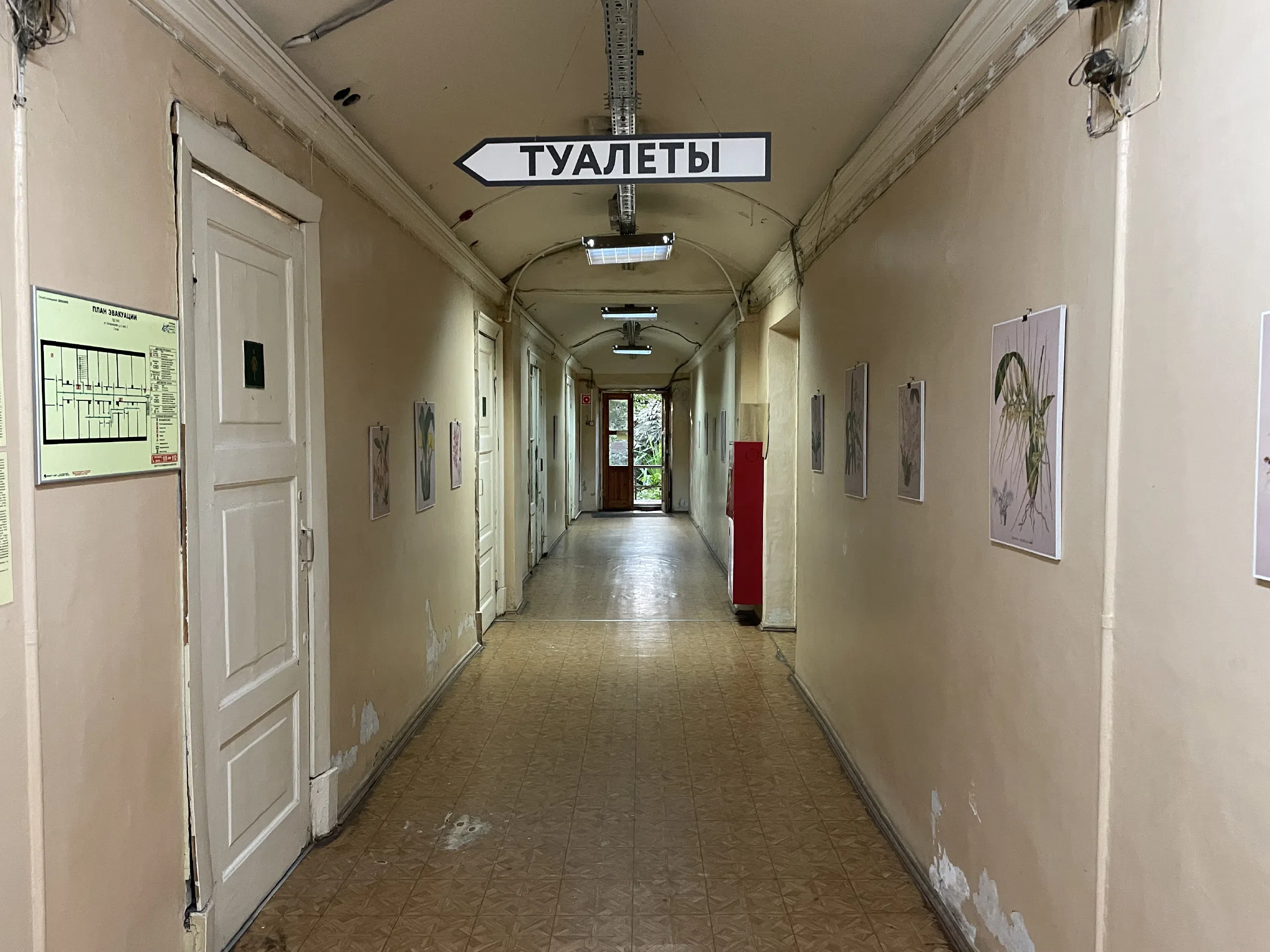 Оранжерея с тропическими растениями, фото 3